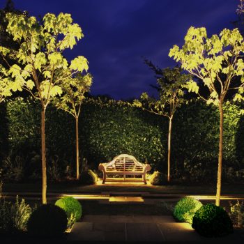 Are LED landscape lights worth using in my garden?