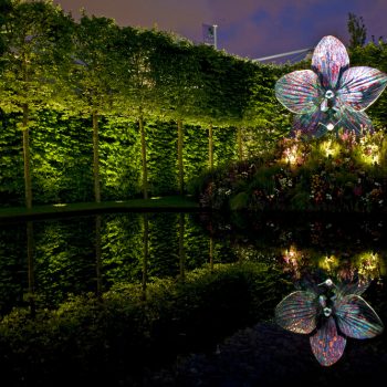 How to beautifully illuminate your pond with pond lighting