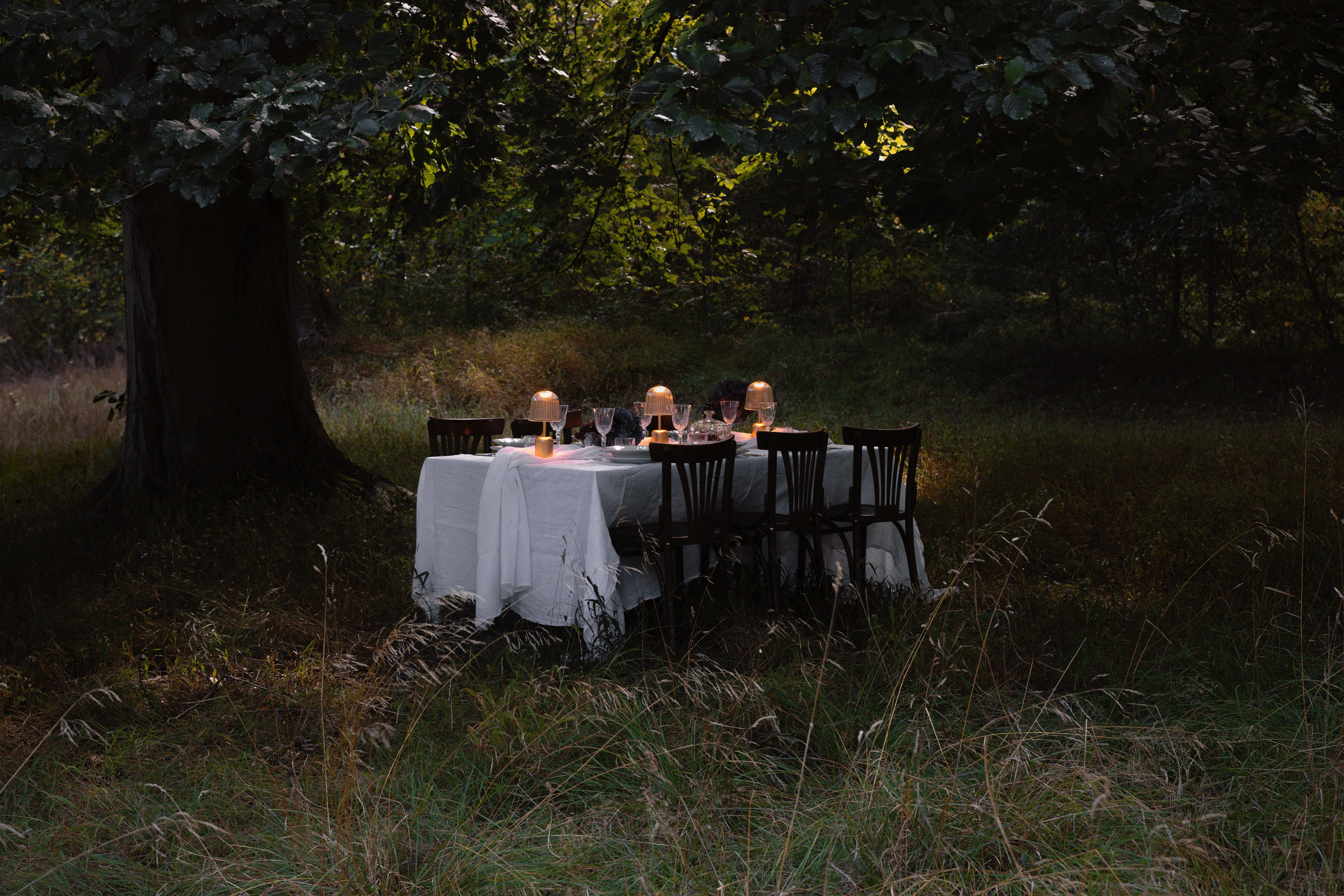 Three Nuura Asteea Portable LED Table Lamps in Satin Brass and Clear Ripple Shade casting warm light on an outdoor dinner table set with a white tablecloth in a forest at dusk, showcasing premium garden lighting and summer trends