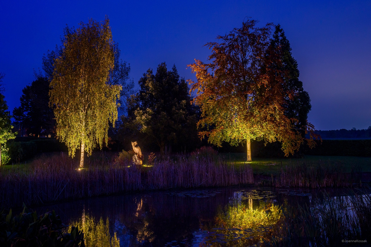 High Power Garden Lights