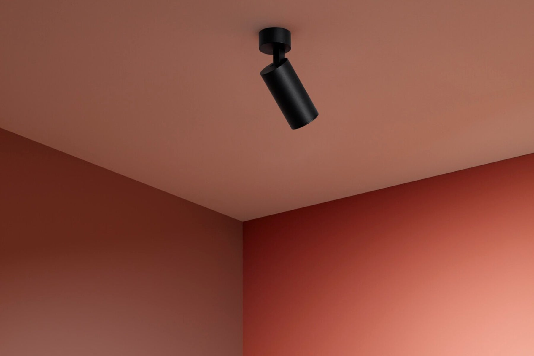 Ceiling Spot Lights