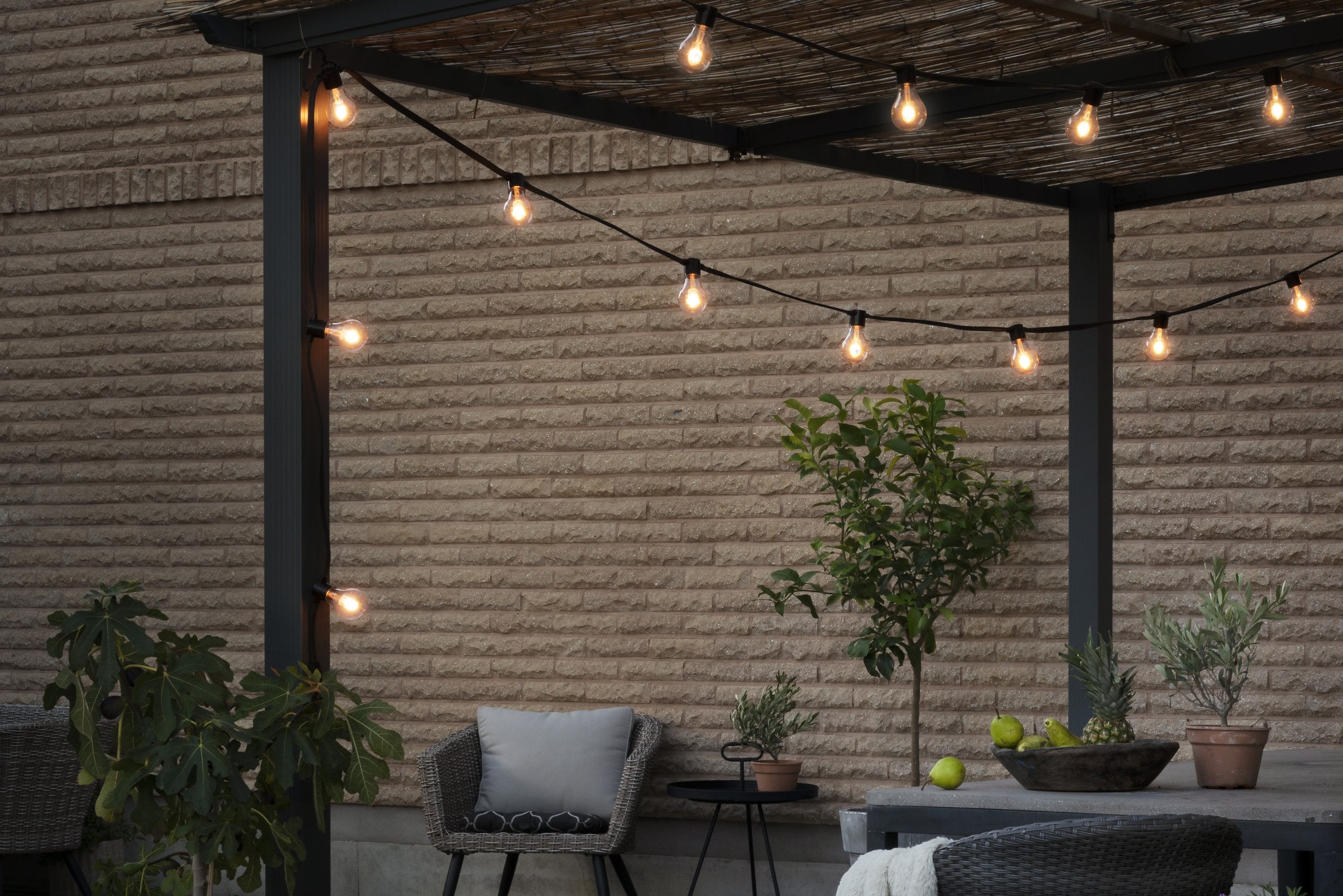 Festoon Lights