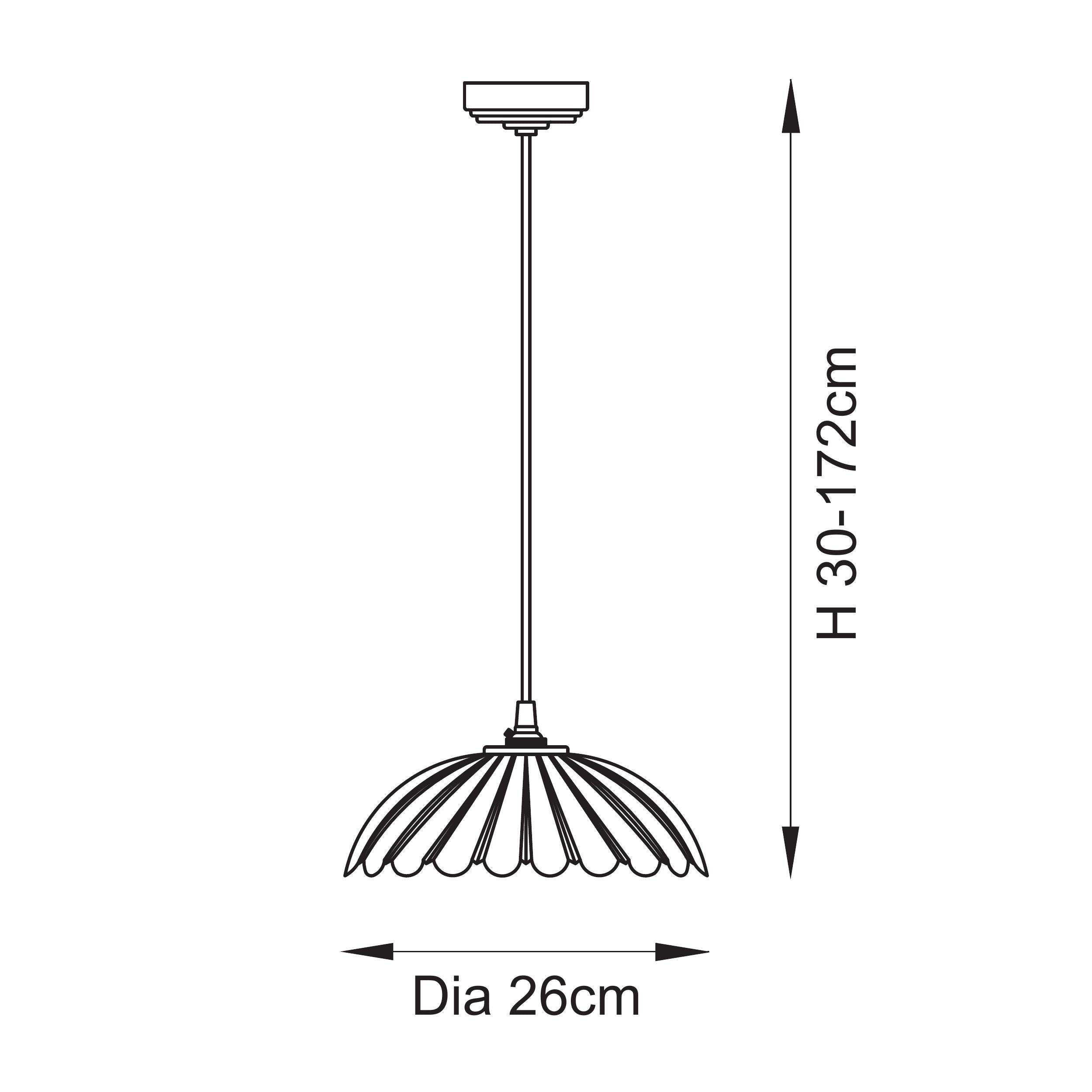 Endon Eltham & Camellia Pendant - Clear Glass & Brushed Aged Brass With Natural Braided Cable