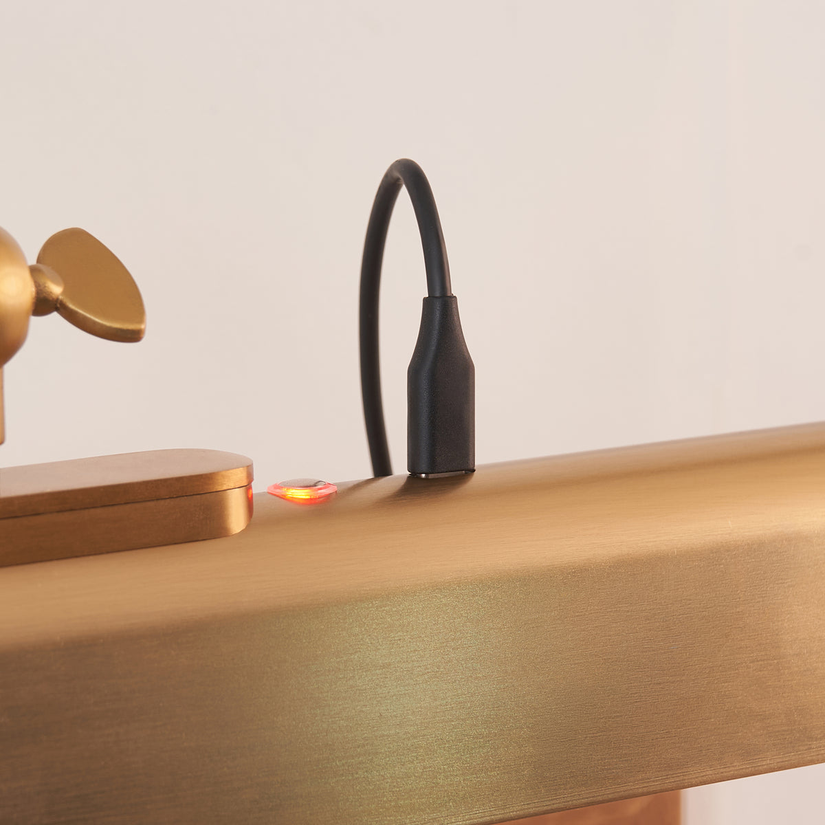 Endon Lasos Rechargeable Picture Light - Warm Brass Plate & Frosted PC