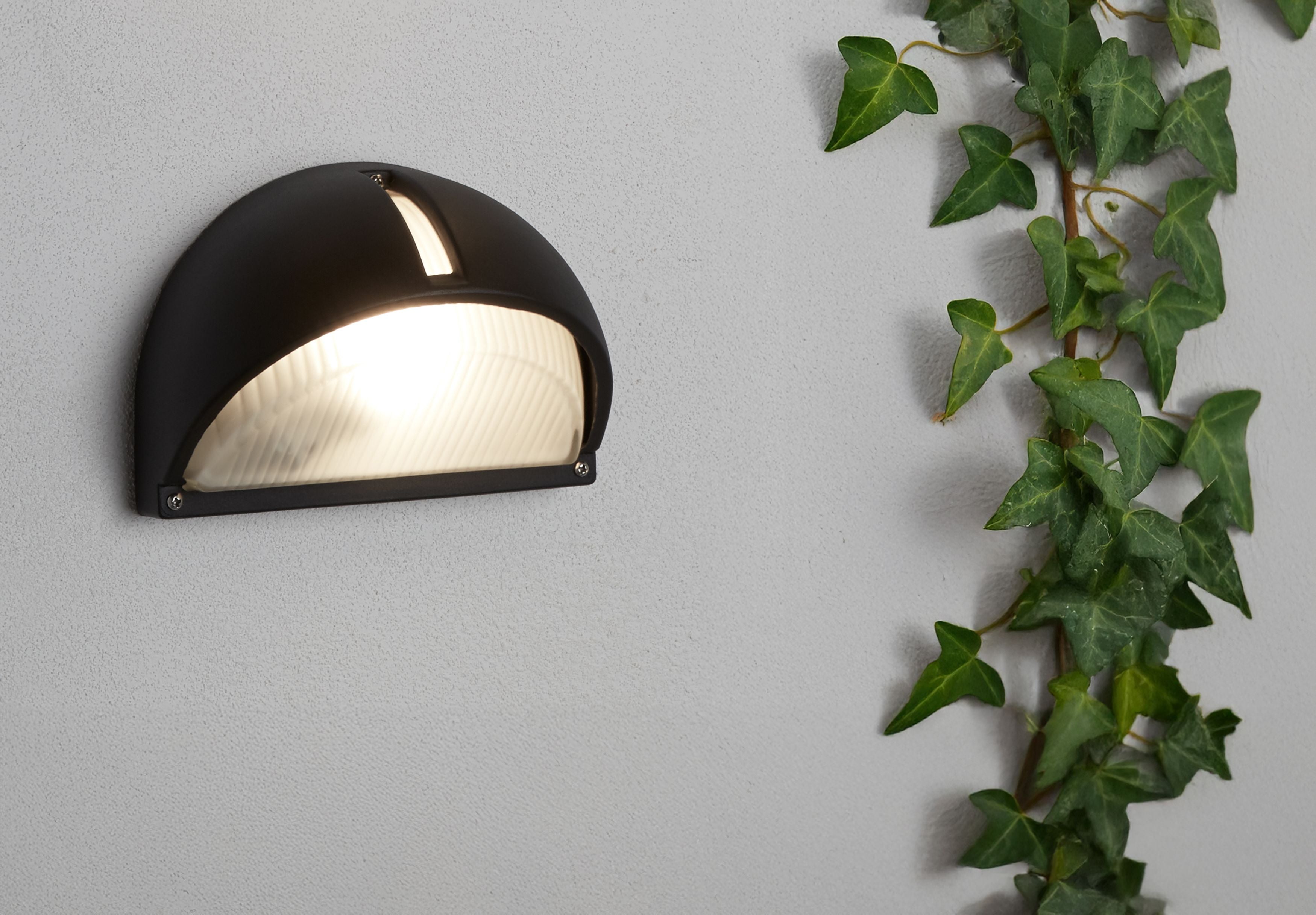 Kentucky wall light mounted on a grey rendered exterior wall beside trailing ivy, lit at dusk