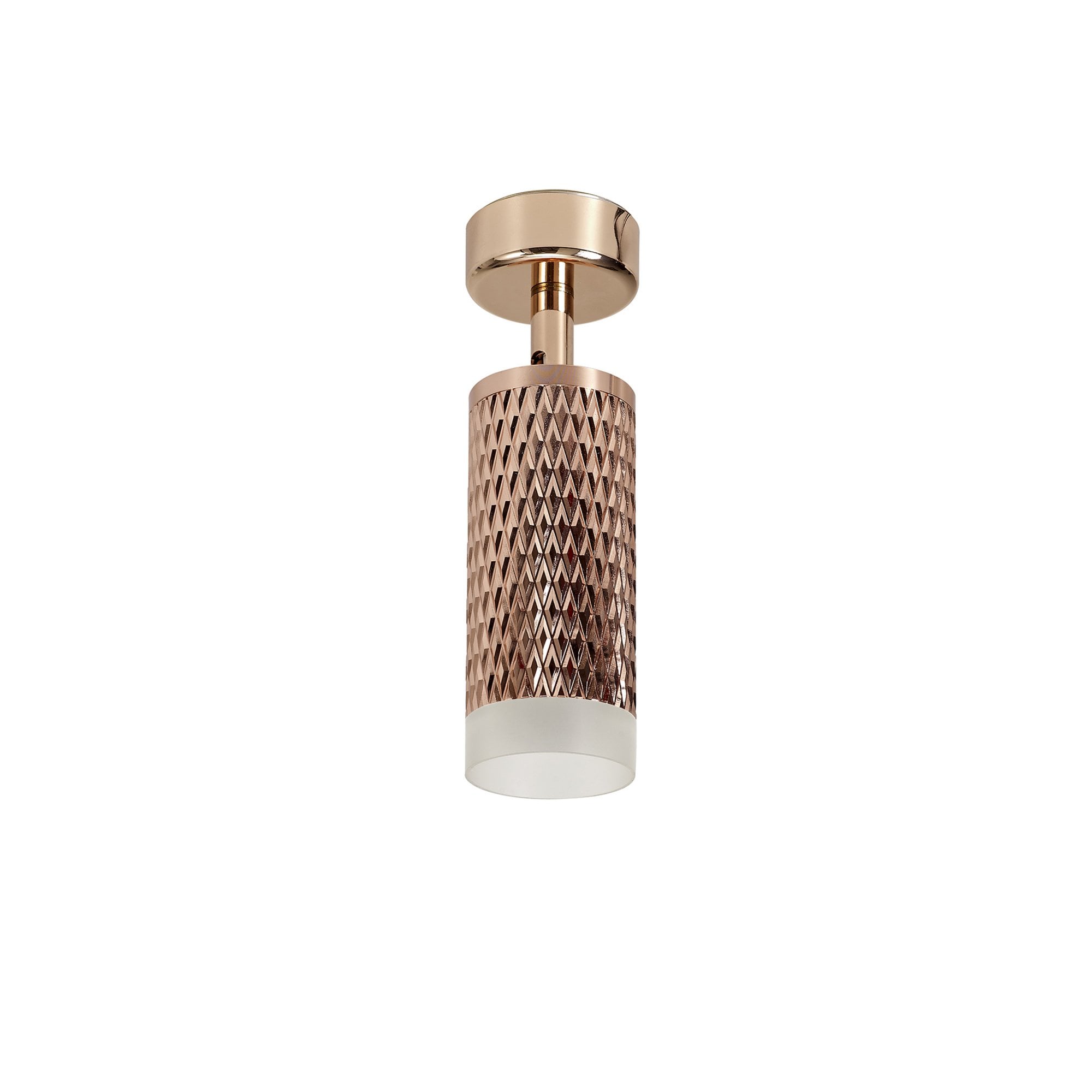 Fabula Summerfield Single Adjustable Spot Light - Rose Gold & Acrylic Ring