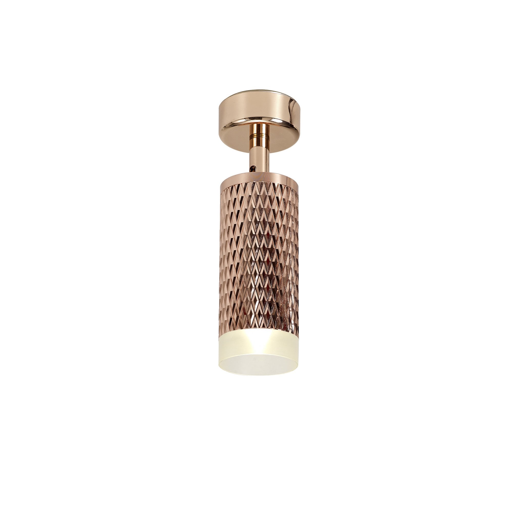 Fabula Summerfield Single Adjustable Spot Light - Rose Gold & Acrylic Ring