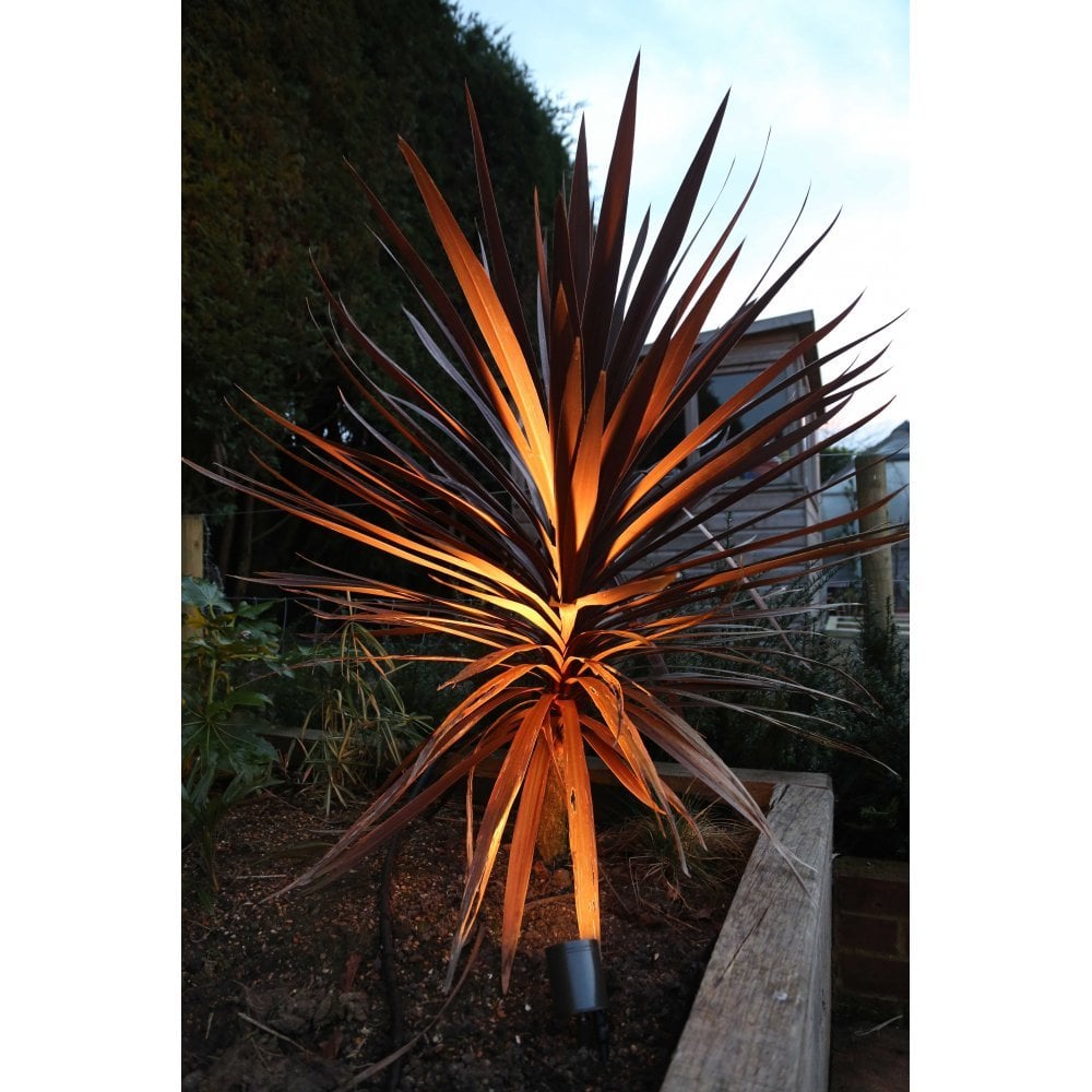 Hunza Pure LED Stake Spot Adjustable - Powder Coat - Low Voltage