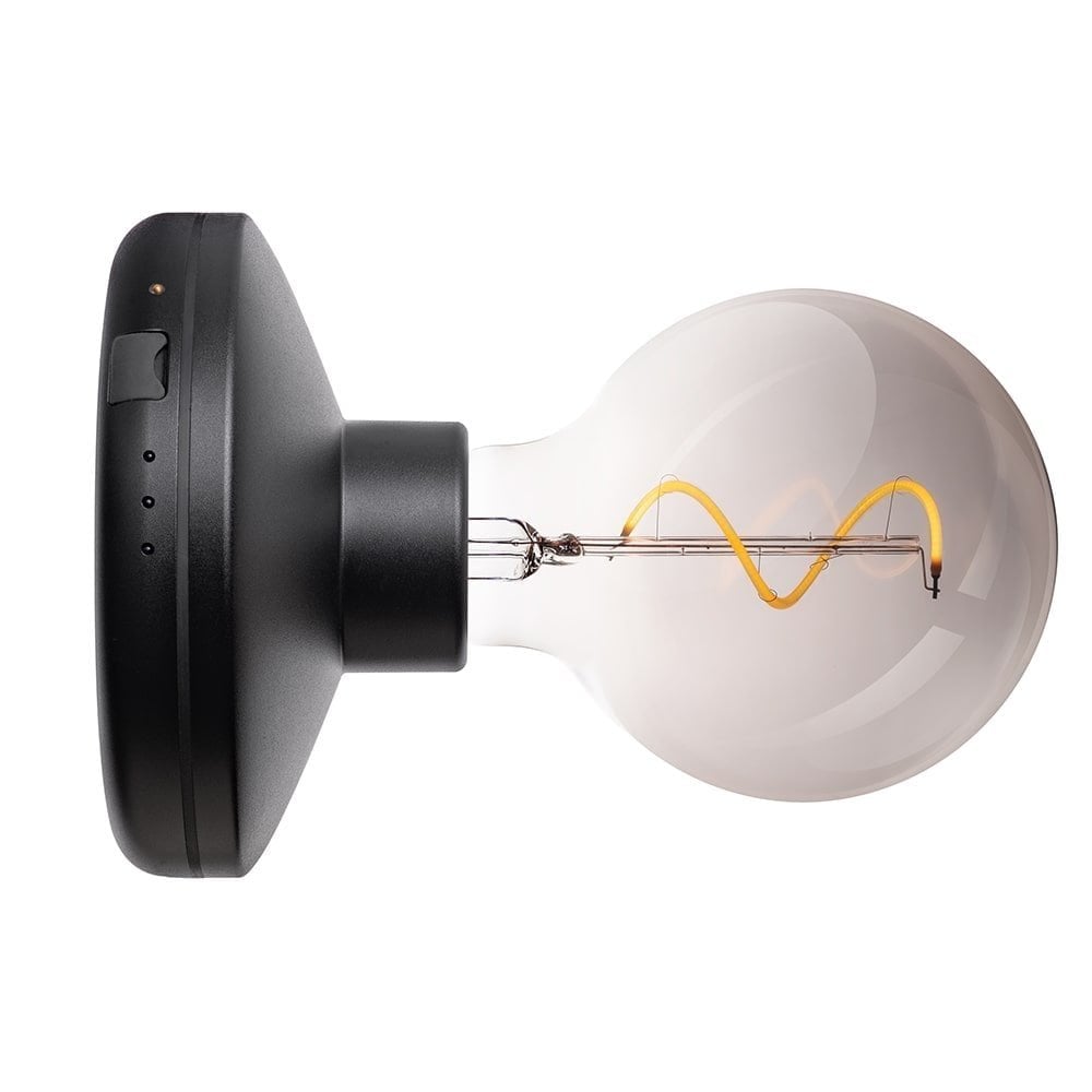 Humble Bee Wall Light - Black & Smoked Bulb