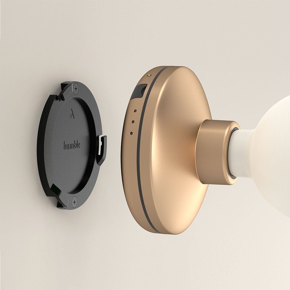 Humble Bee Wall Light - Gold & Frosted Bulb