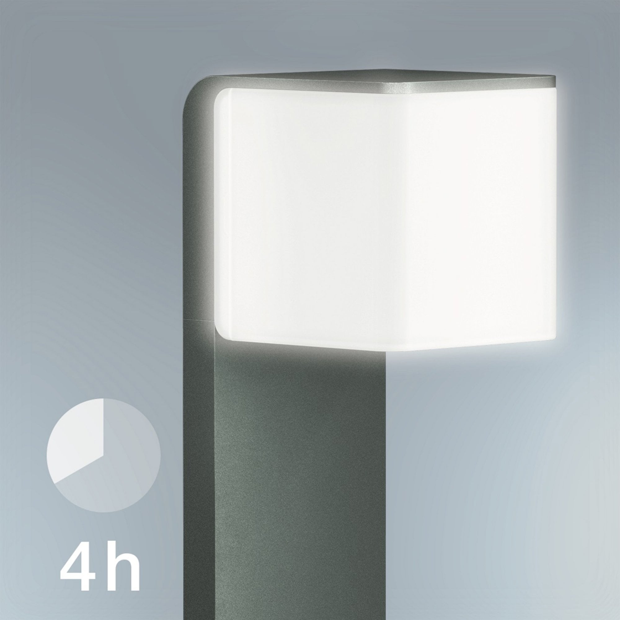Steinel GL 80 SC Anthracite - Sensor-Switched LED Outdoor Light