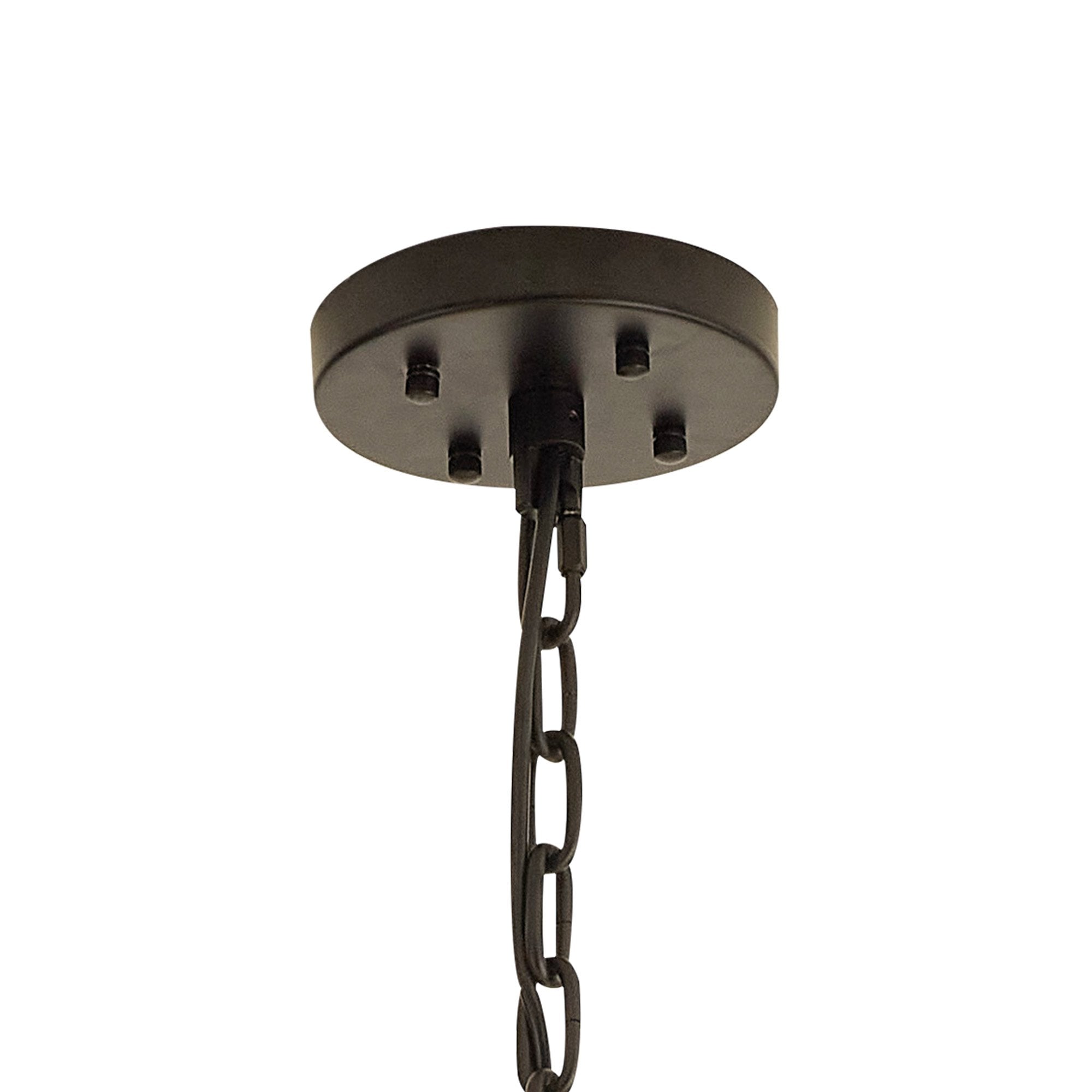 Fabula Wordworth 32 Light Oval Pendant - Matt Black & Champagne Glass