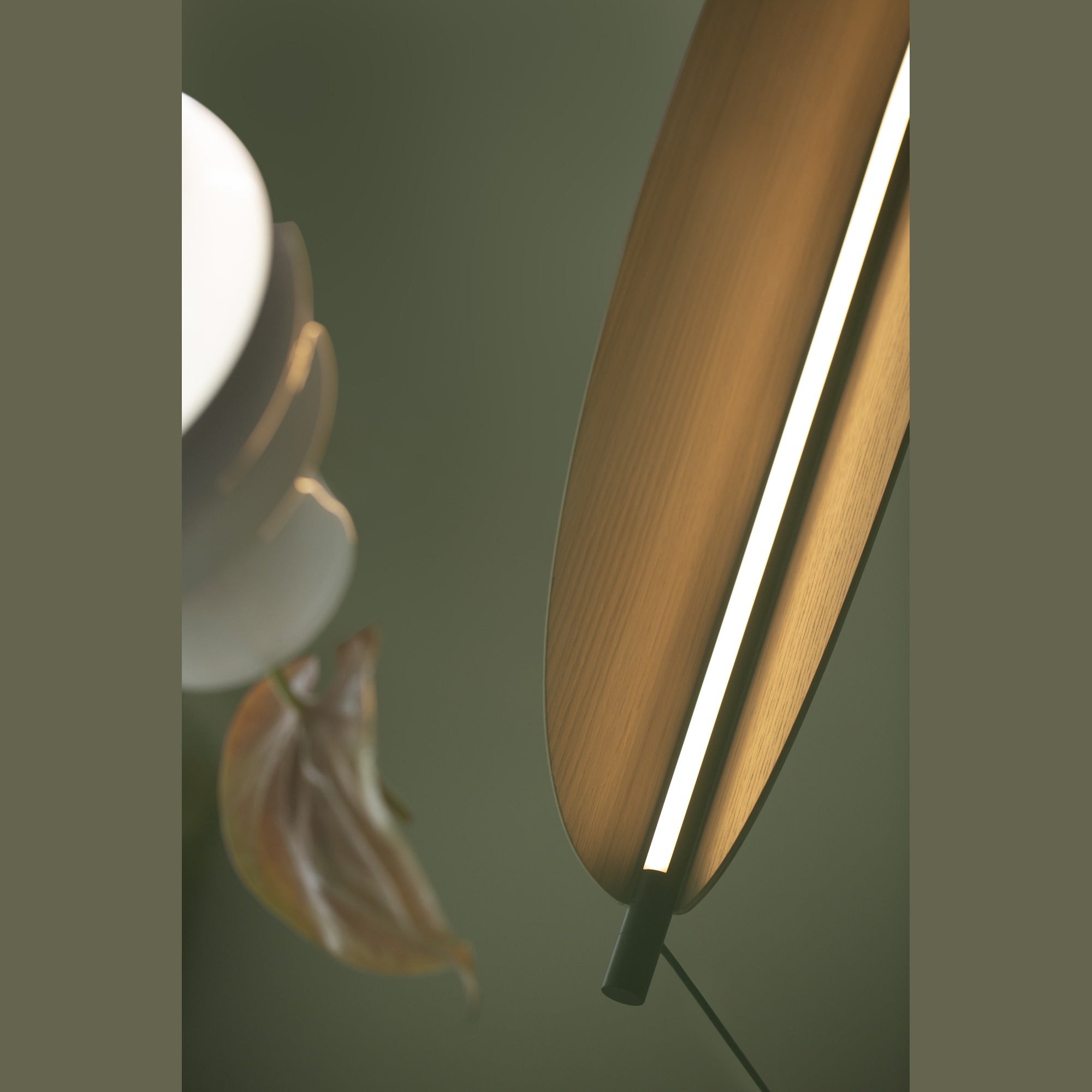 TOOY Thula 20W Pendant Light