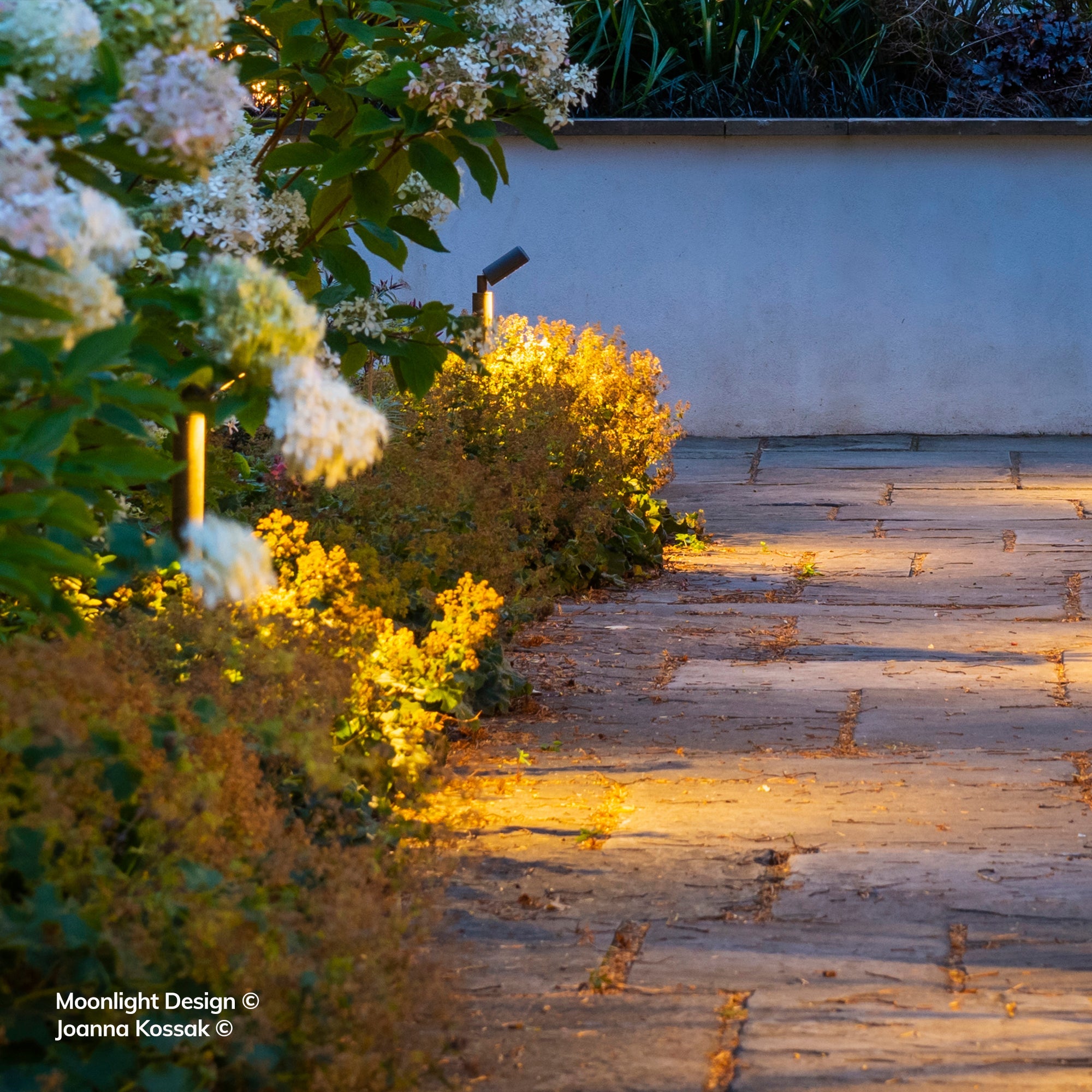 Row of Hunza Border Lights lining a stone path beside a mixed flower border at dusk, Moonlight Design garden lighting scheme