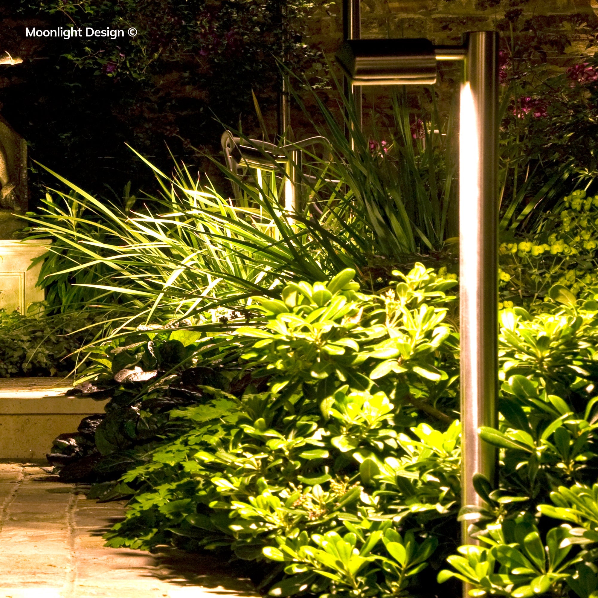 Hunza Border Light in stainless steel uplighting a dense border of ornamental grasses and evergreen shrubs at night, Moonlight Design installation