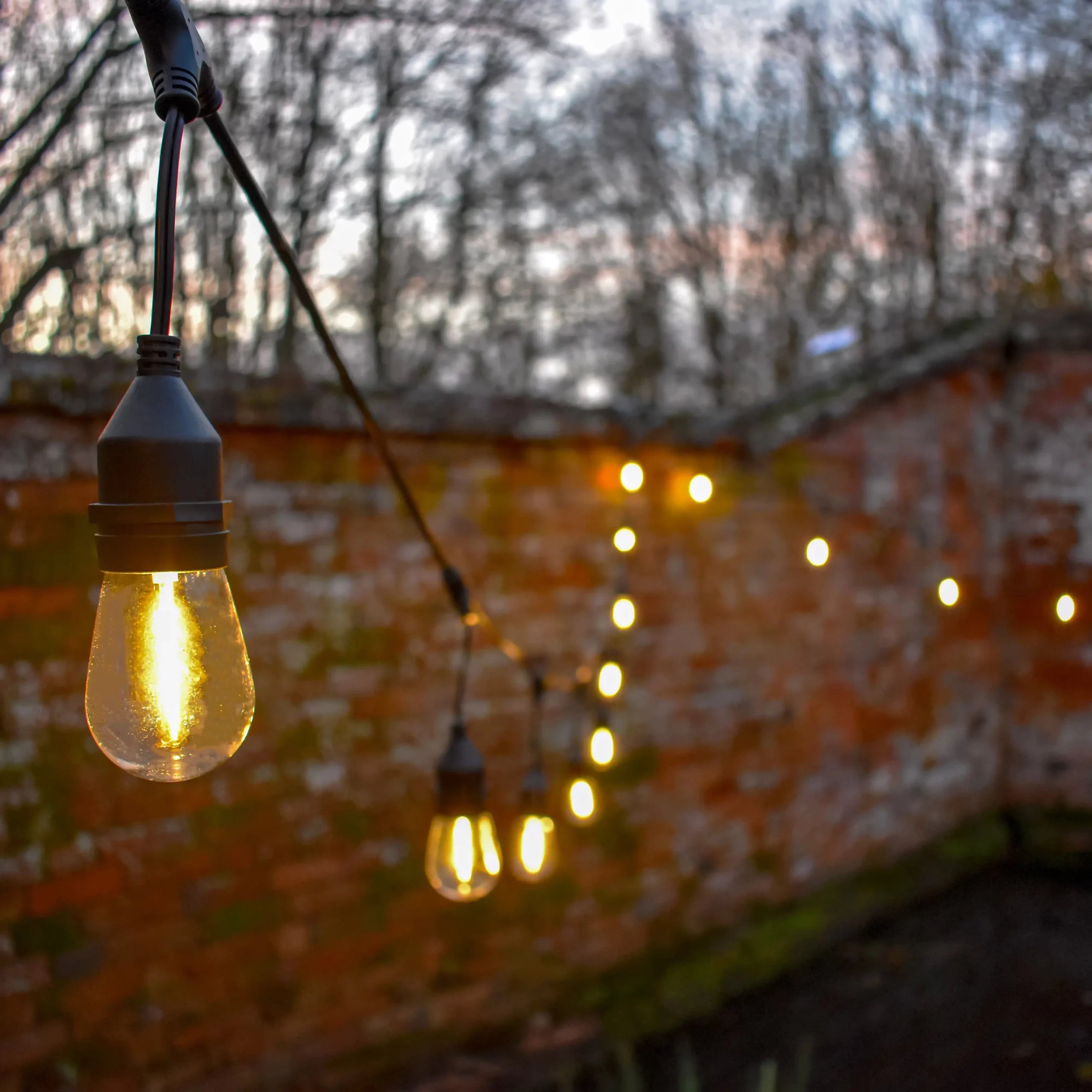 Lumena Cosmic Orion 12V Festoon Lights – Warm White (Plug & Play)