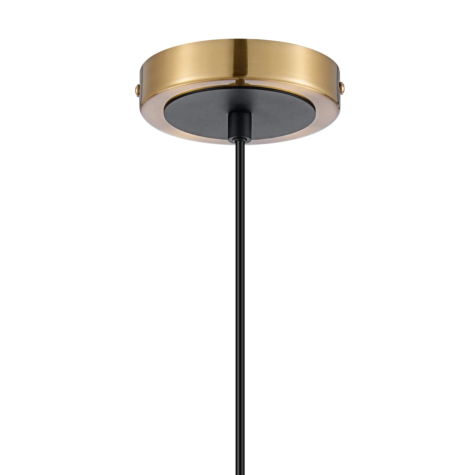 Sycamore Pendant with 15cm Round Segment Glass Shade - Brass, Amber Plated & Satin Black