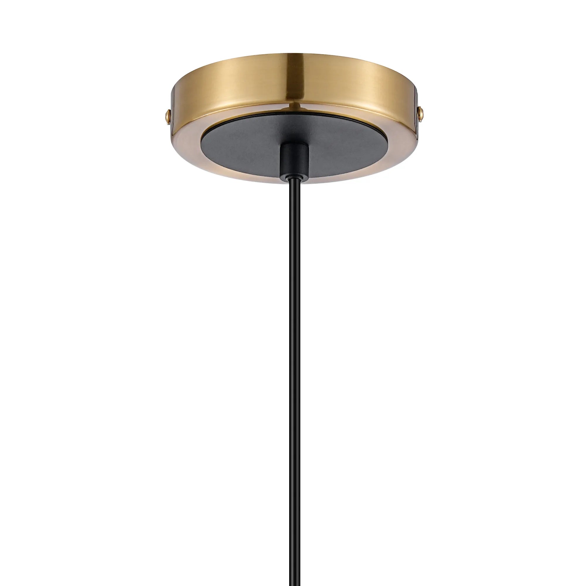 Sycamore Pendant with 15cm Round Segment Glass Shade - Brass, Clear & Satin Black