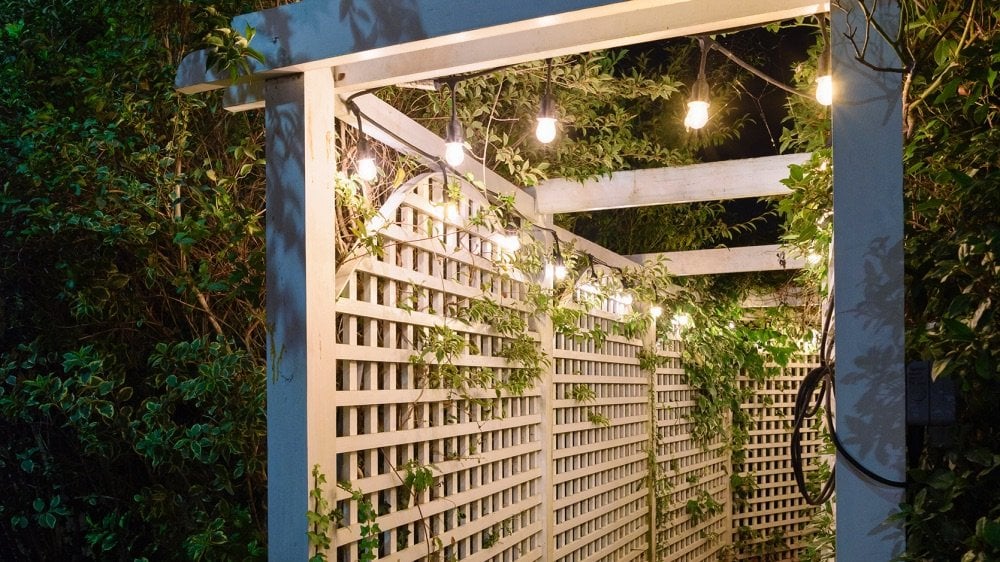 Pergola with string lights and greenery at night