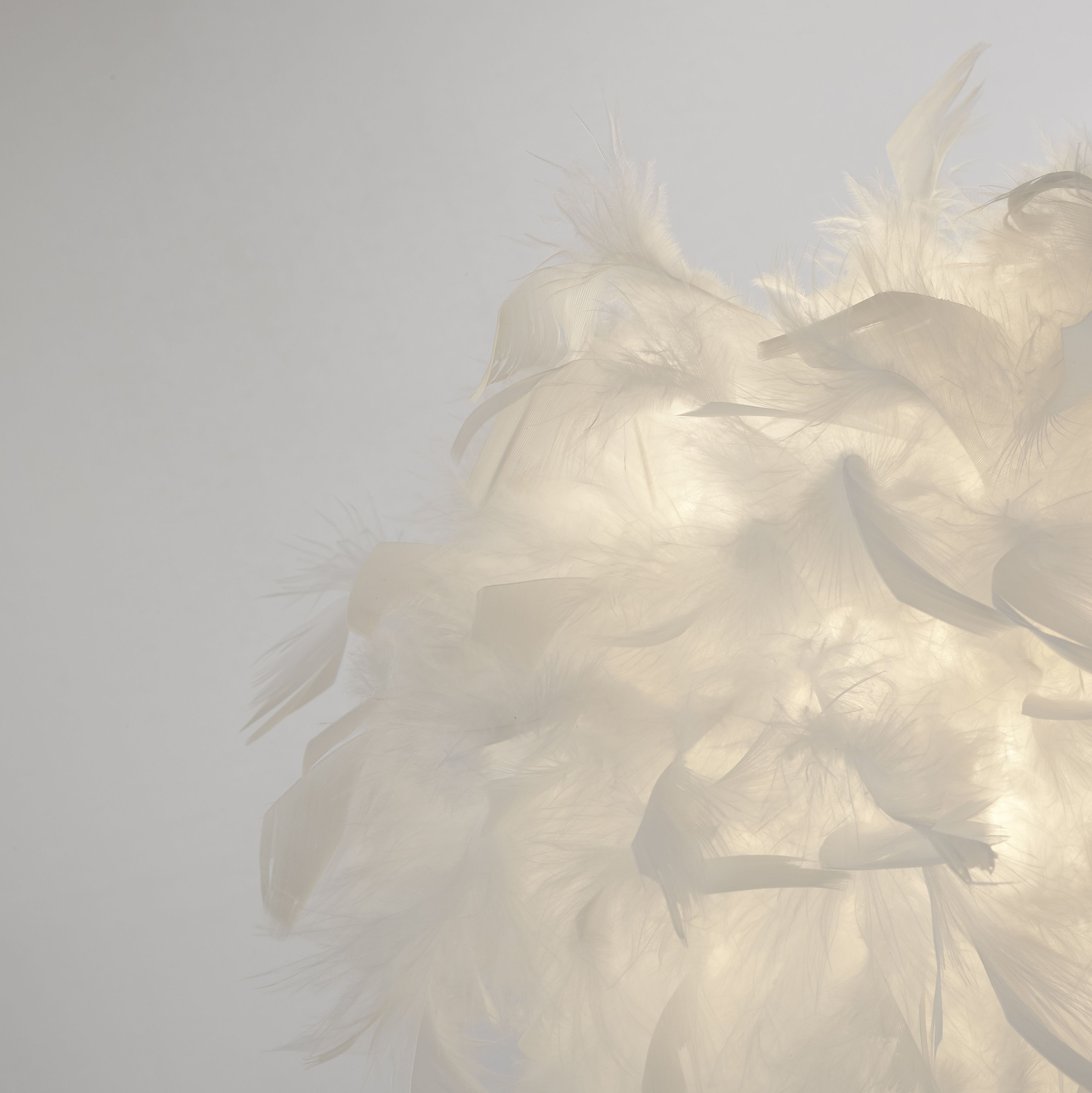 Close up of the Hattie table lamp's lit white feather shade showing individual feather texture