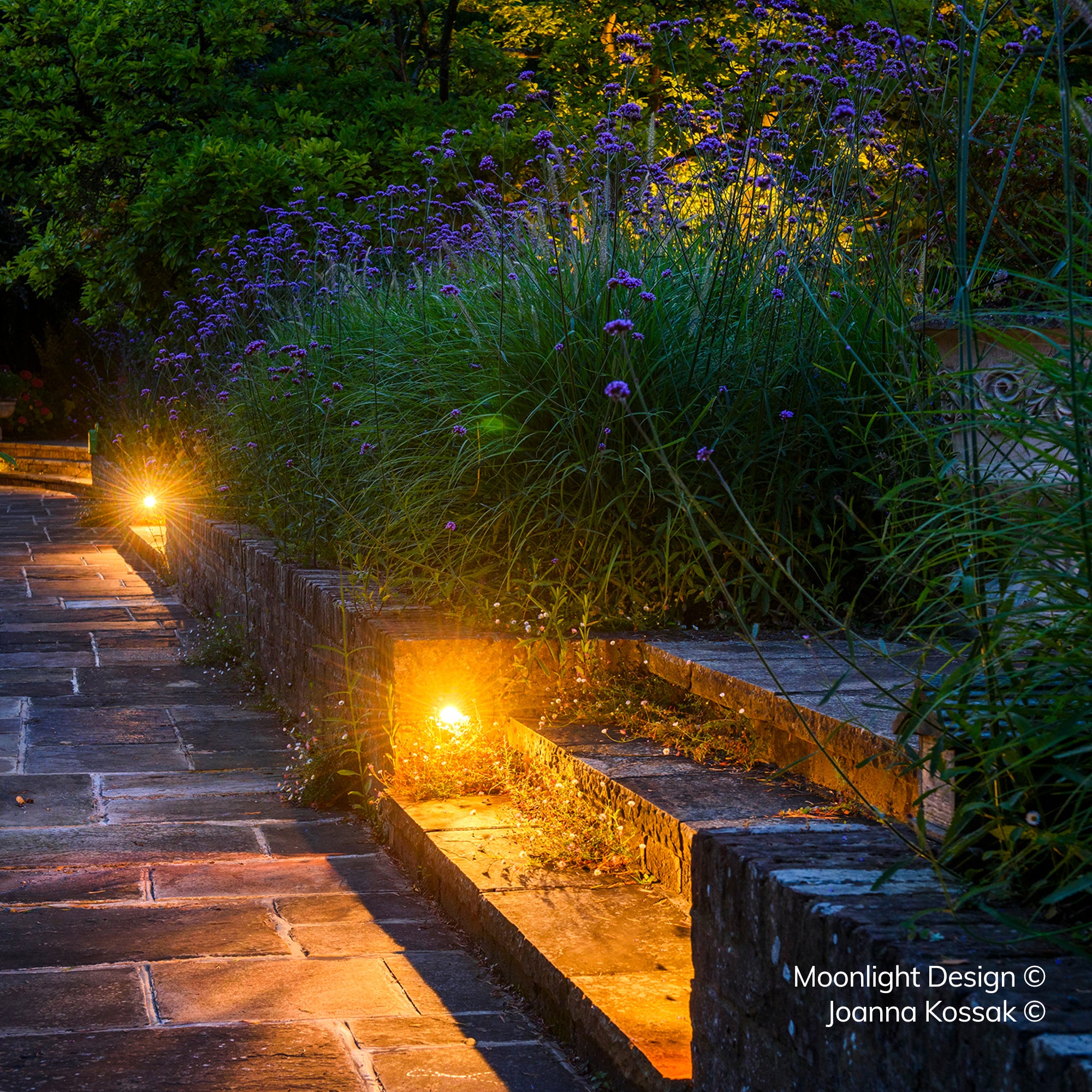 A stone path bordered by a low wall lit by multiple recessed Hunza Euro eyelid lights, with ornamental grasses and verbena either side at dusk. A Moonlight Design installation, not stock imagery.