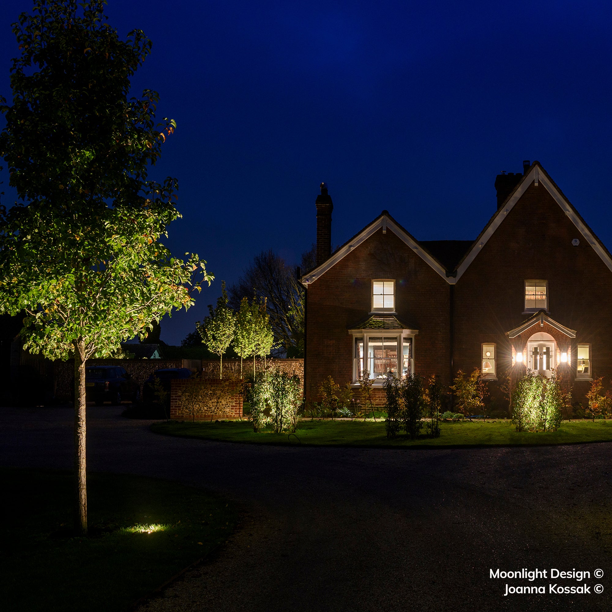 Hunza Pure LED Driveway Light Solid Bronze illuminating a tree at night - Moonlight Design garden lighting project