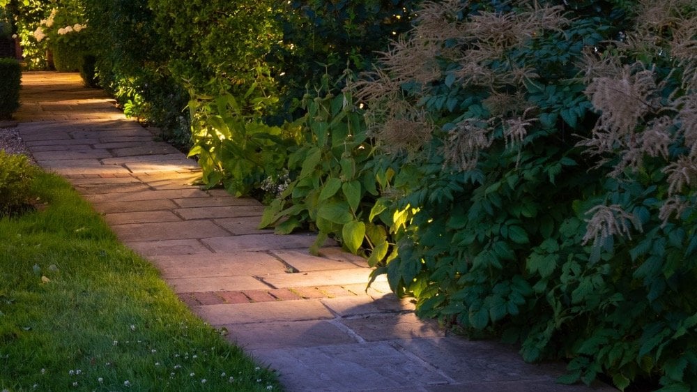 Paved garden path surrounded by greenery at dusk.