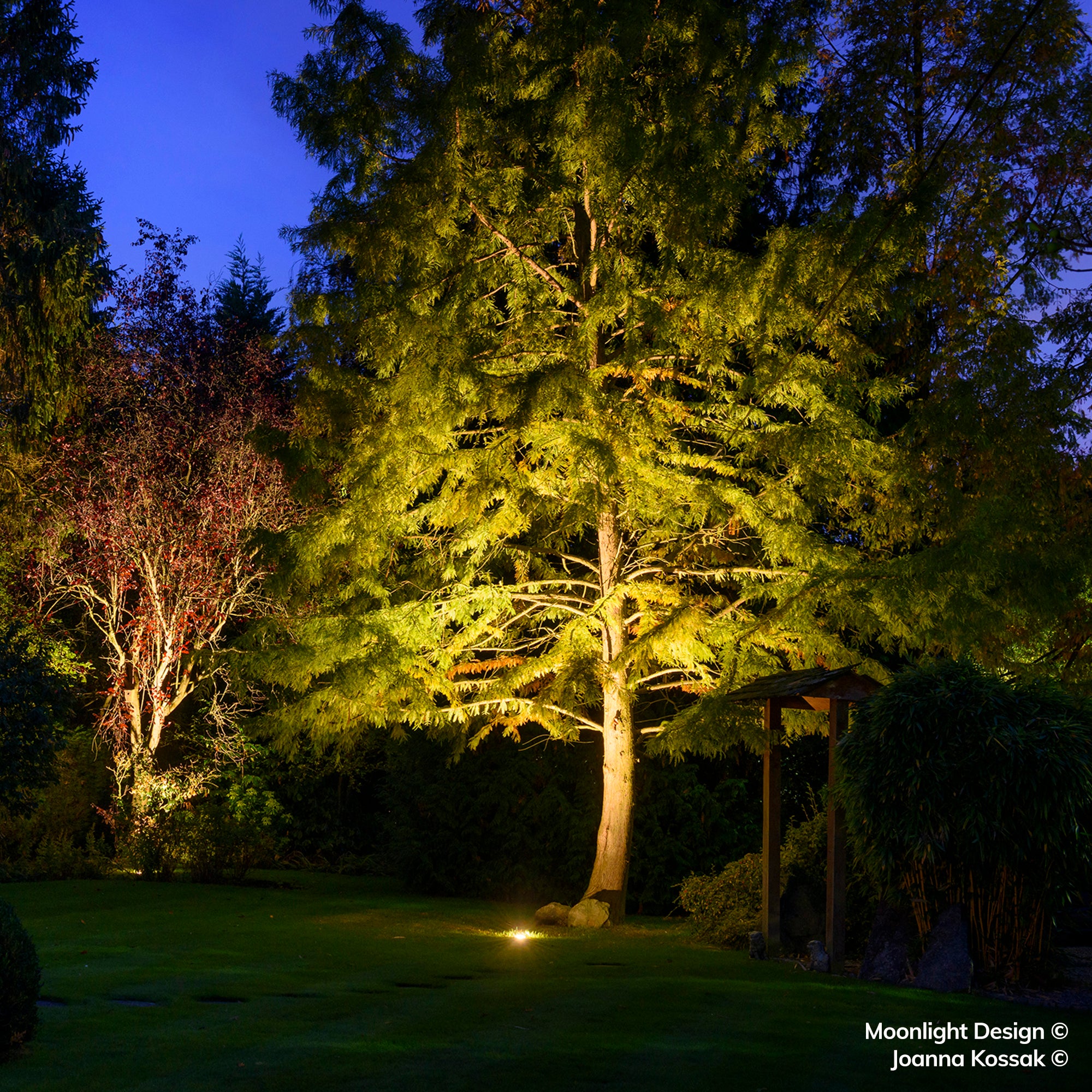 Hunza Pure LED Lawn Light - Powder Coat - Low Voltage