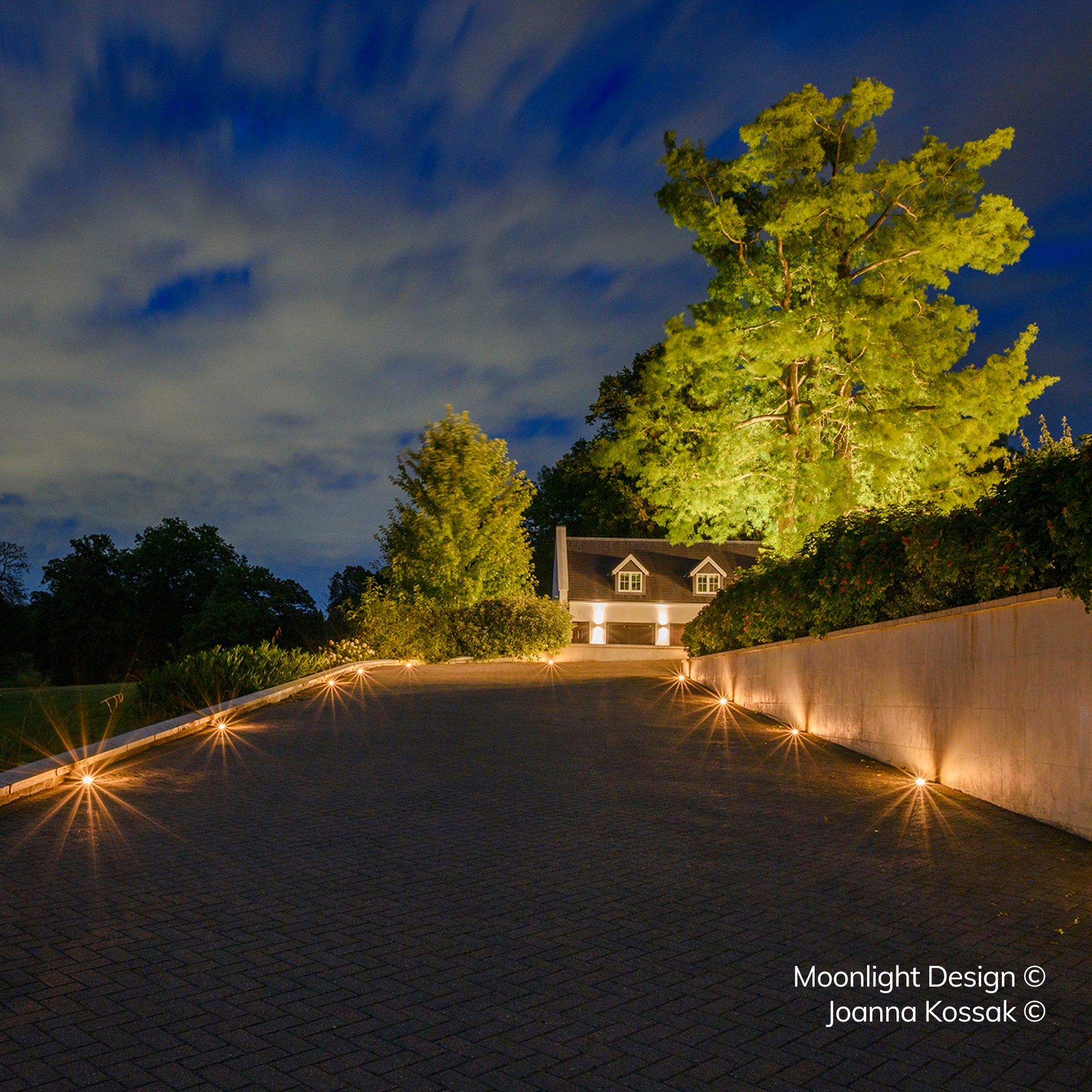 A driveway sweeping up to a house at night, lined with recessed Hunza Path Lights along the kerb edge and a low retaining wall, with an uplit tree behind. A Moonlight Design installation, not stock imagery.
