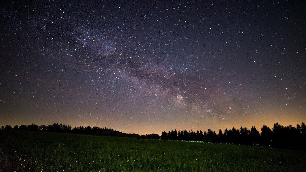 Starry night sky over a field with trees