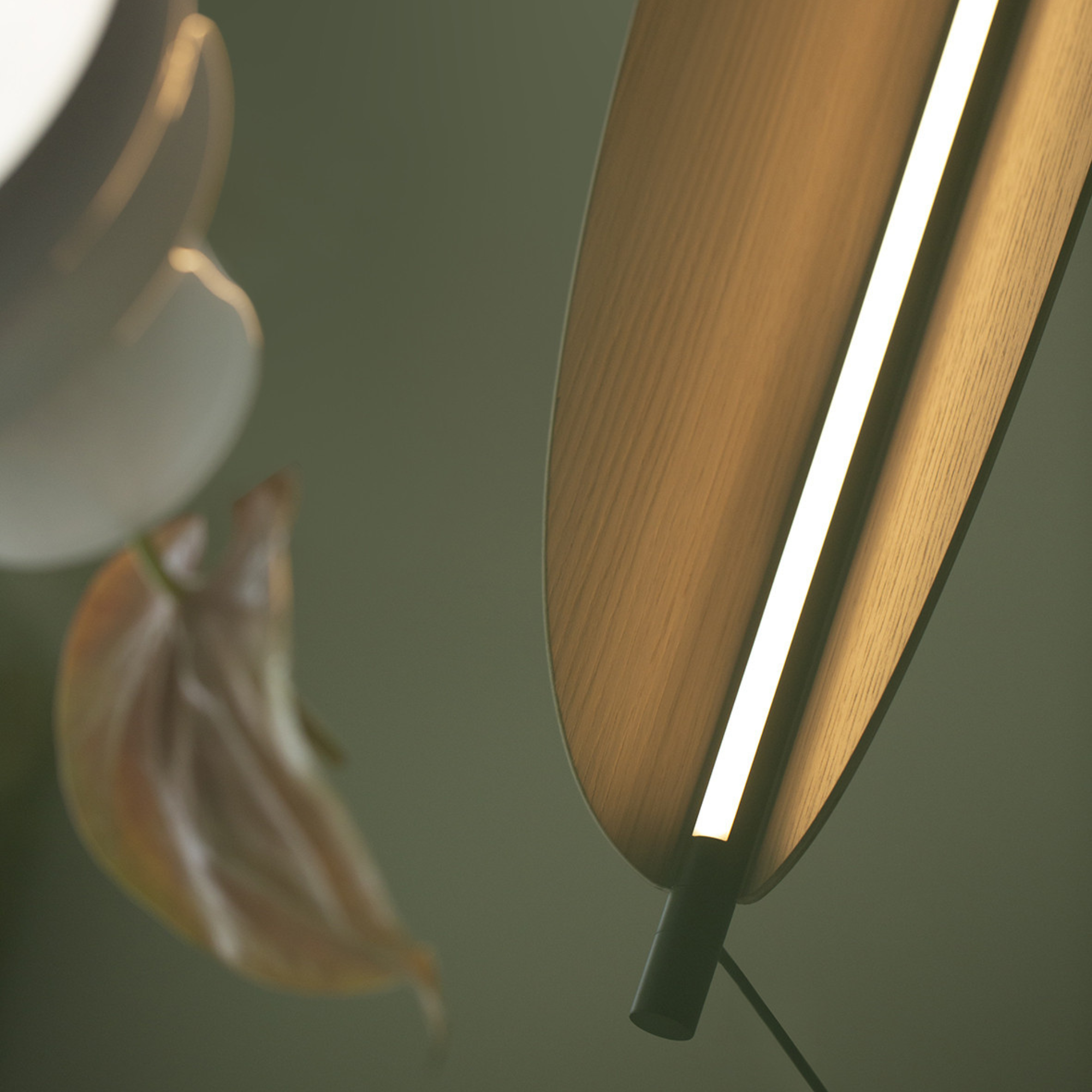TOOY Thula 26W Pendant Light