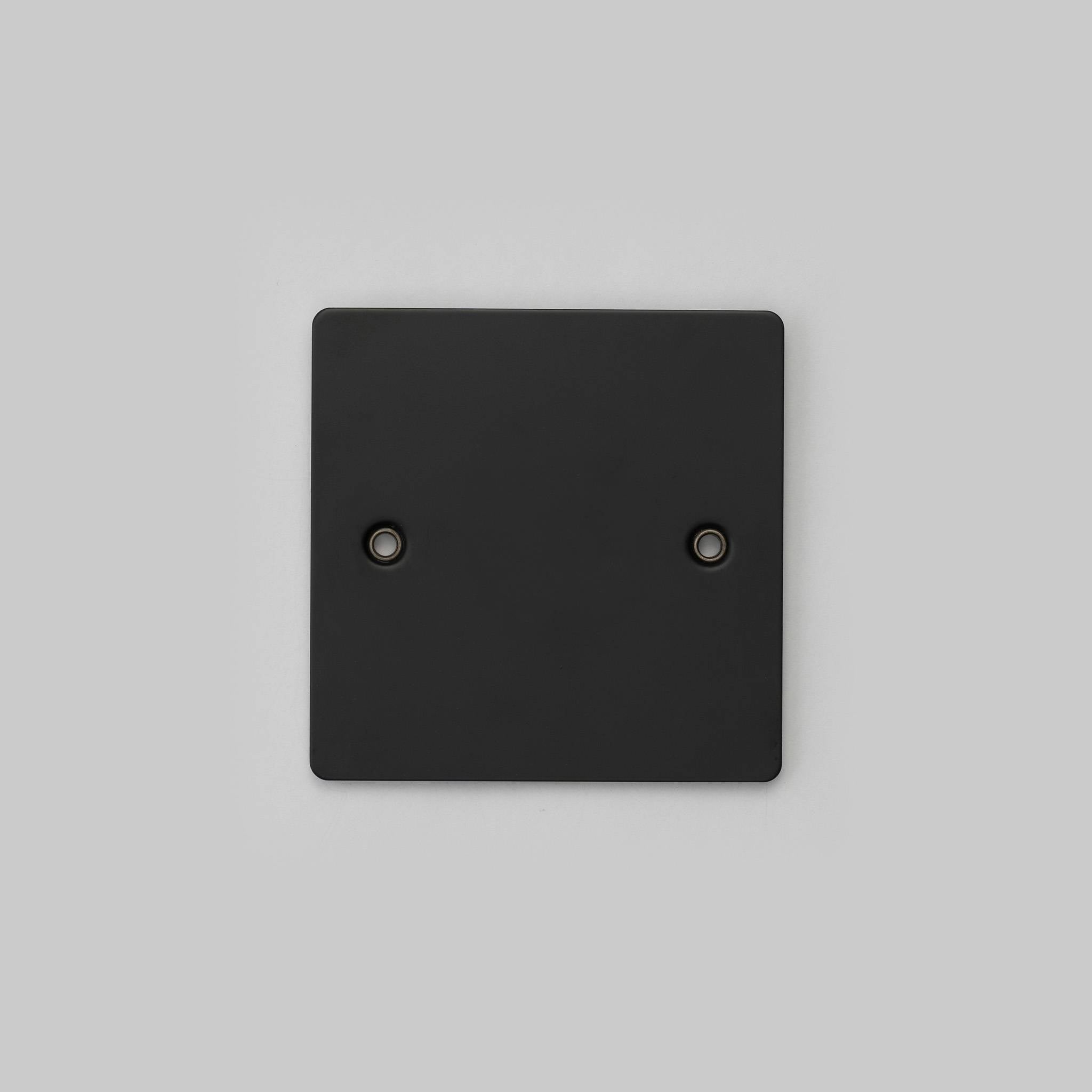 Buster + Punch 1G Blank Wall Plate