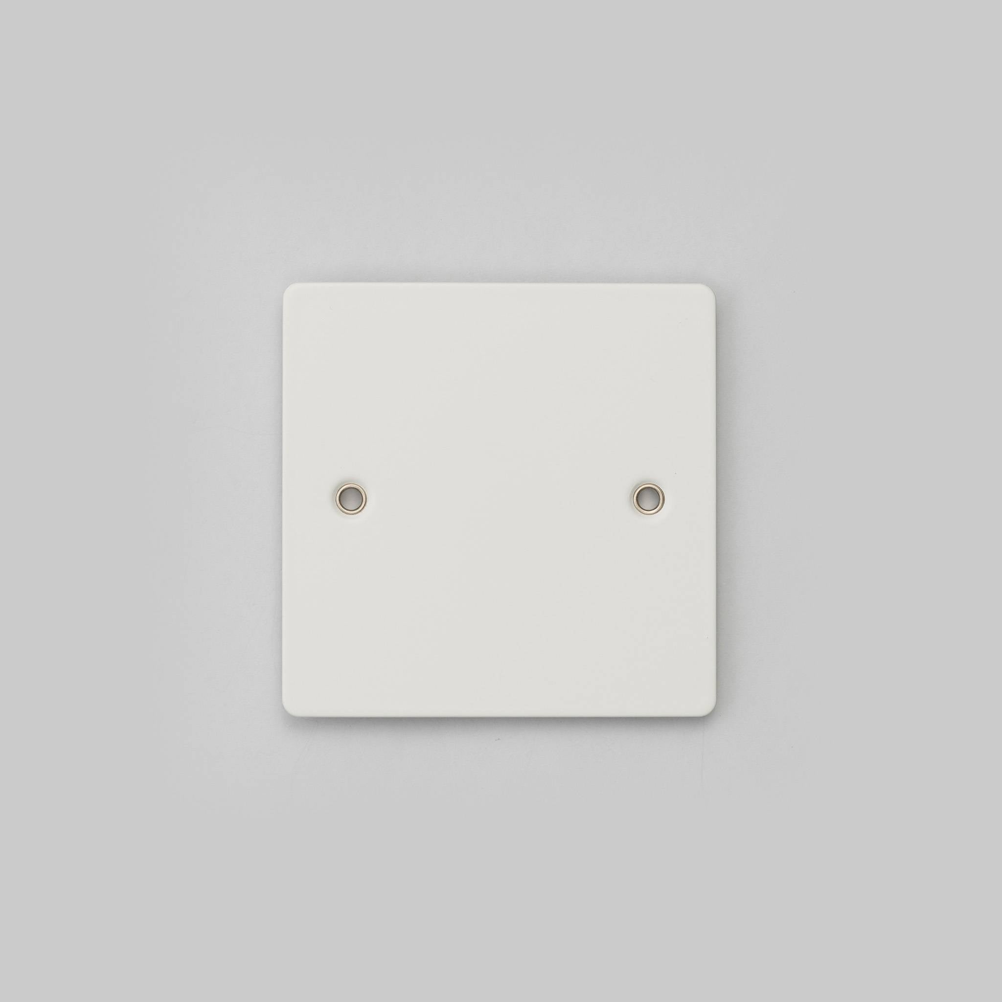 Buster + Punch 1G Blank Wall Plate