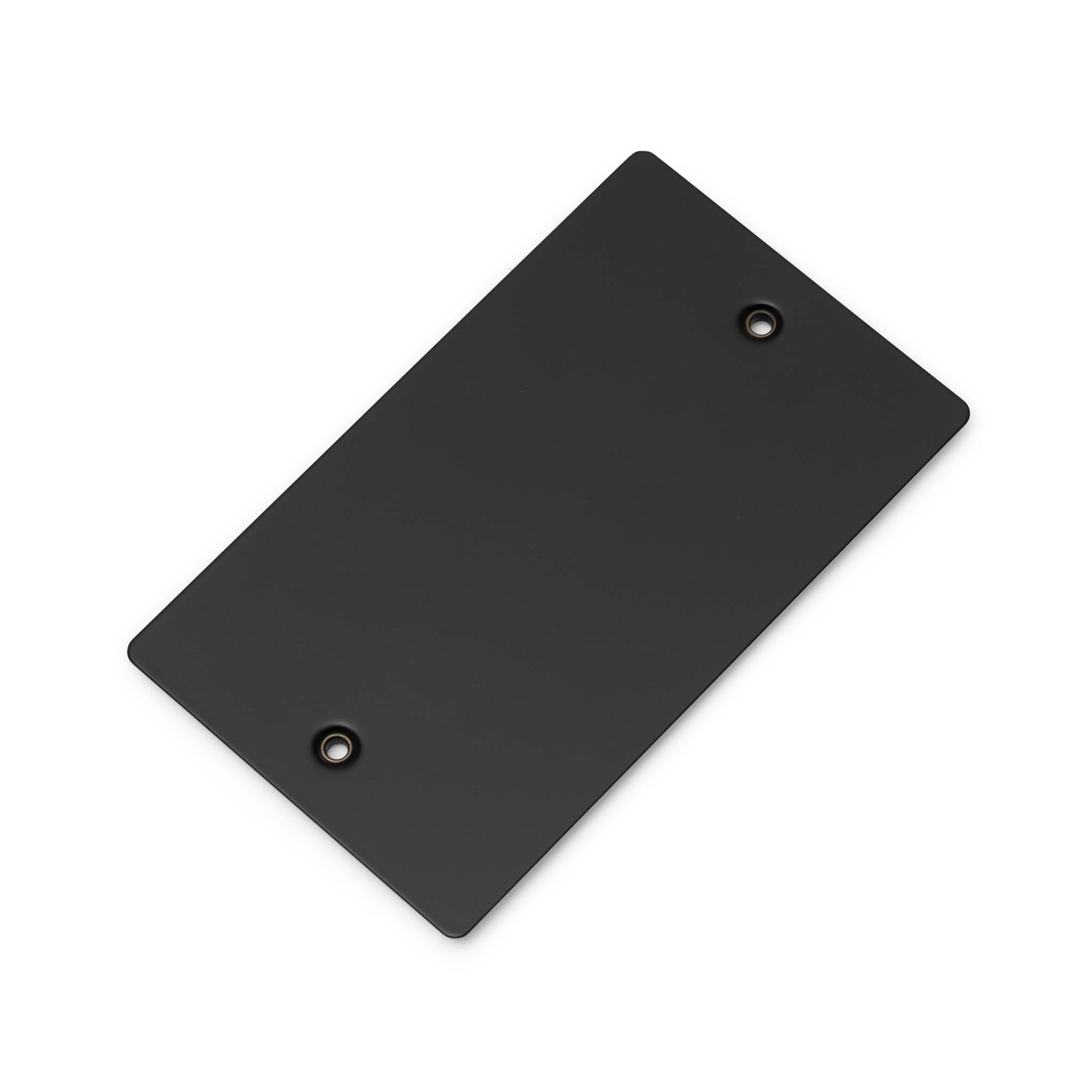 Buster + Punch 2G Blank Wall Plate