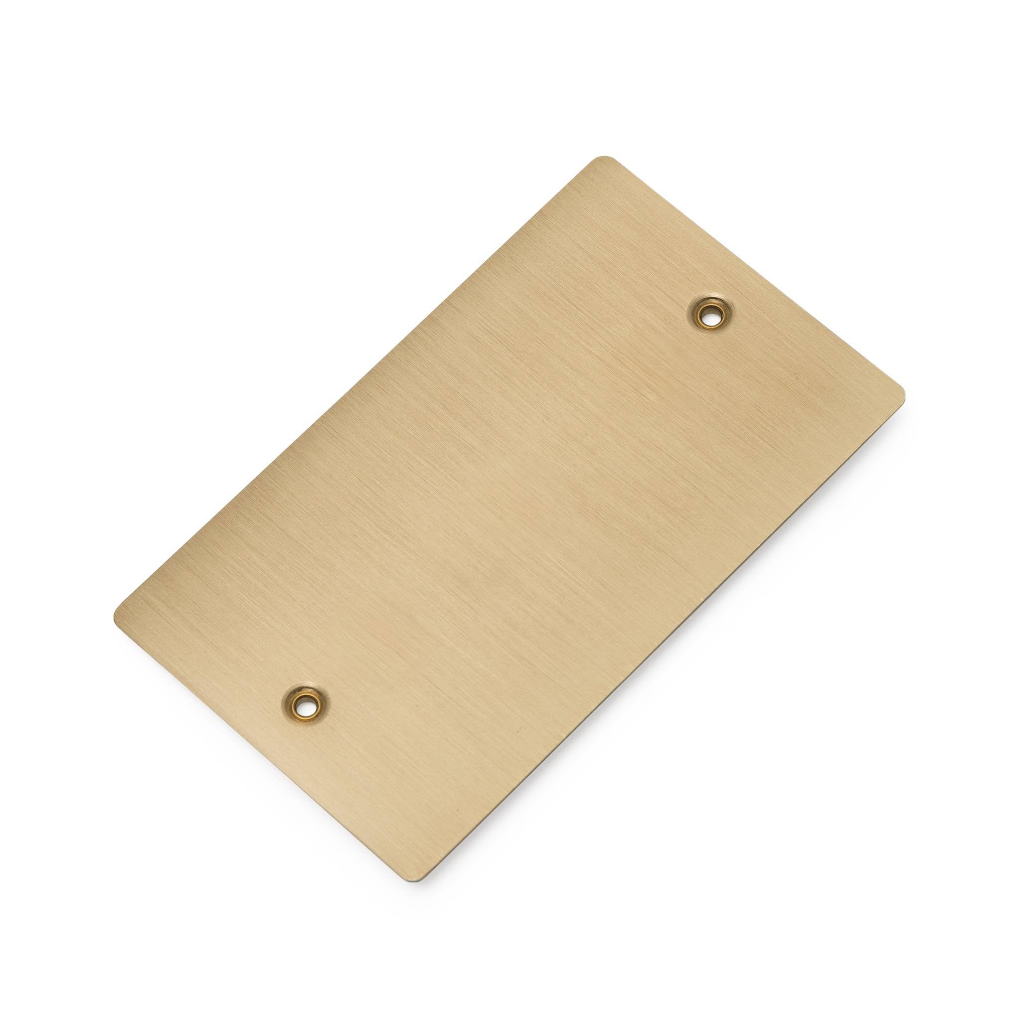 Buster + Punch 2G Blank Wall Plate
