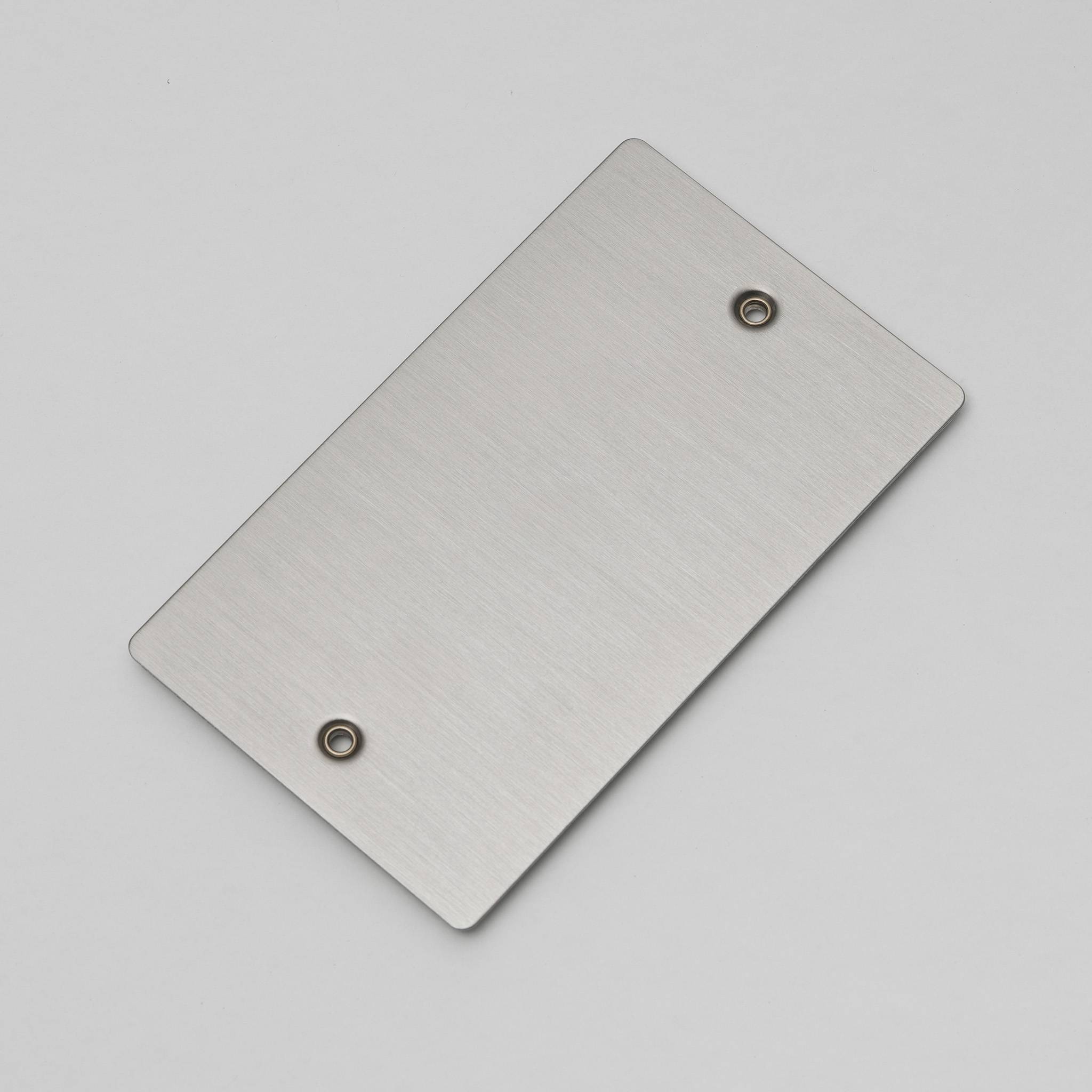 Buster + Punch 2G Blank Wall Plate