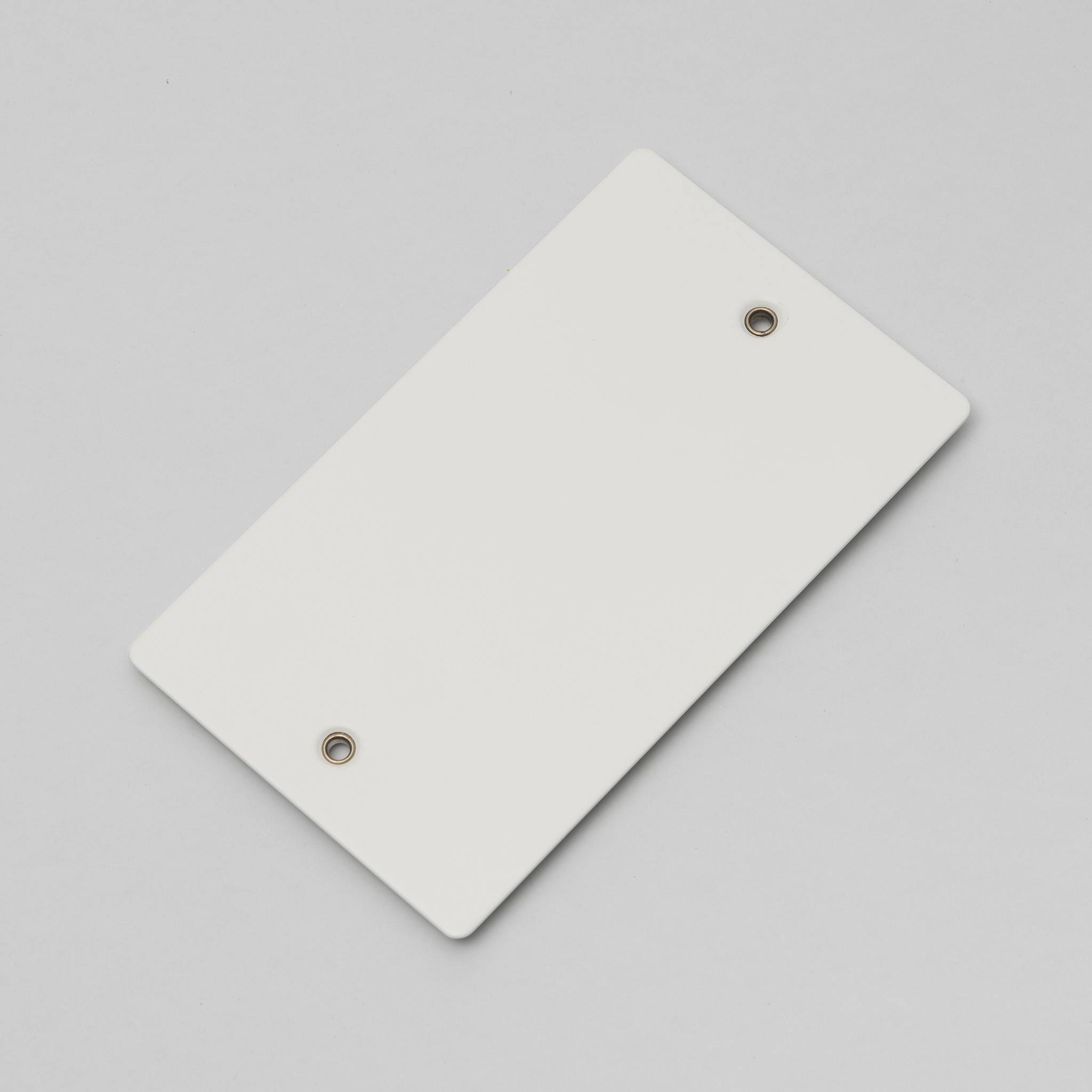 Buster + Punch 2G Blank Wall Plate