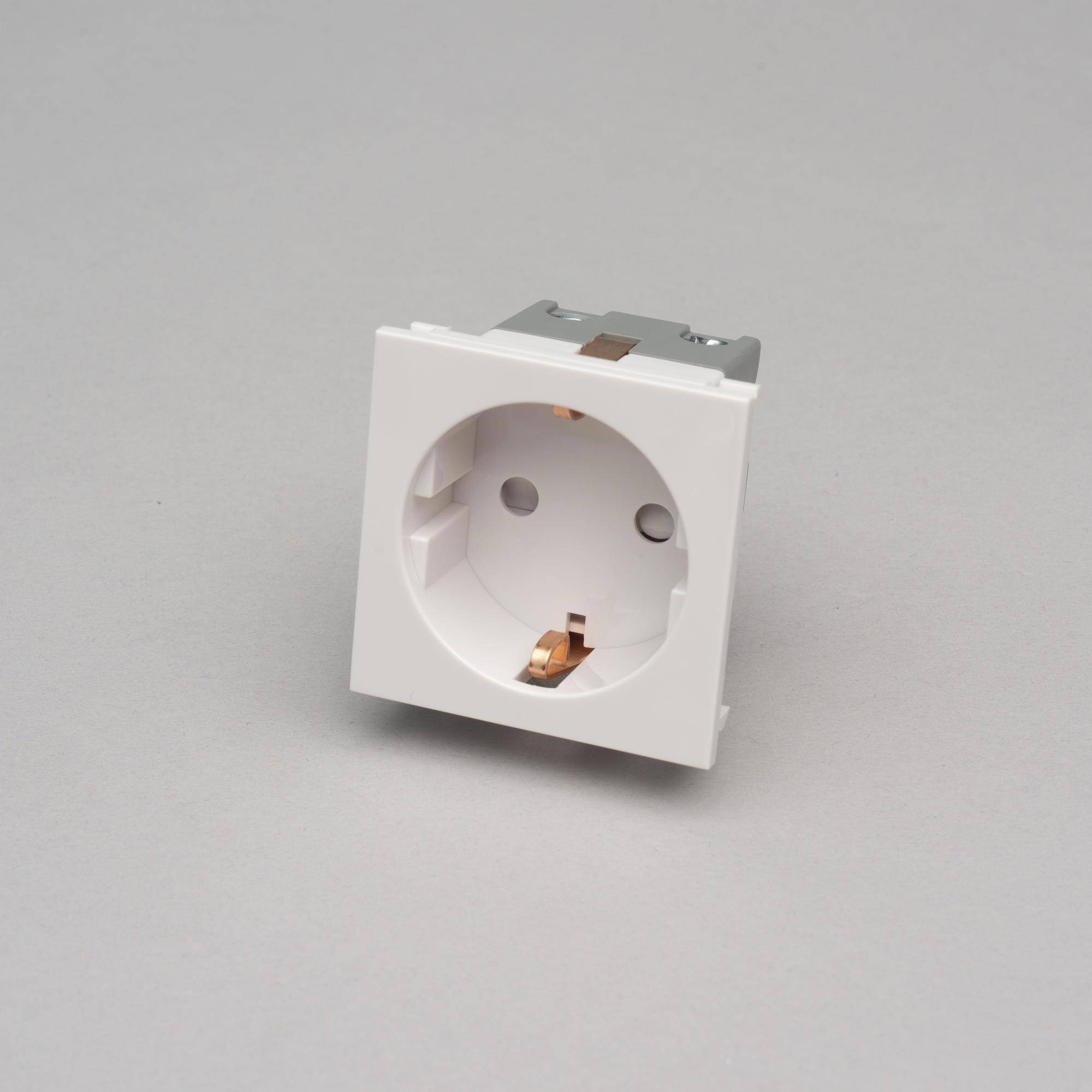 Buster + Punch Schuko Socket Module Type F 50mm