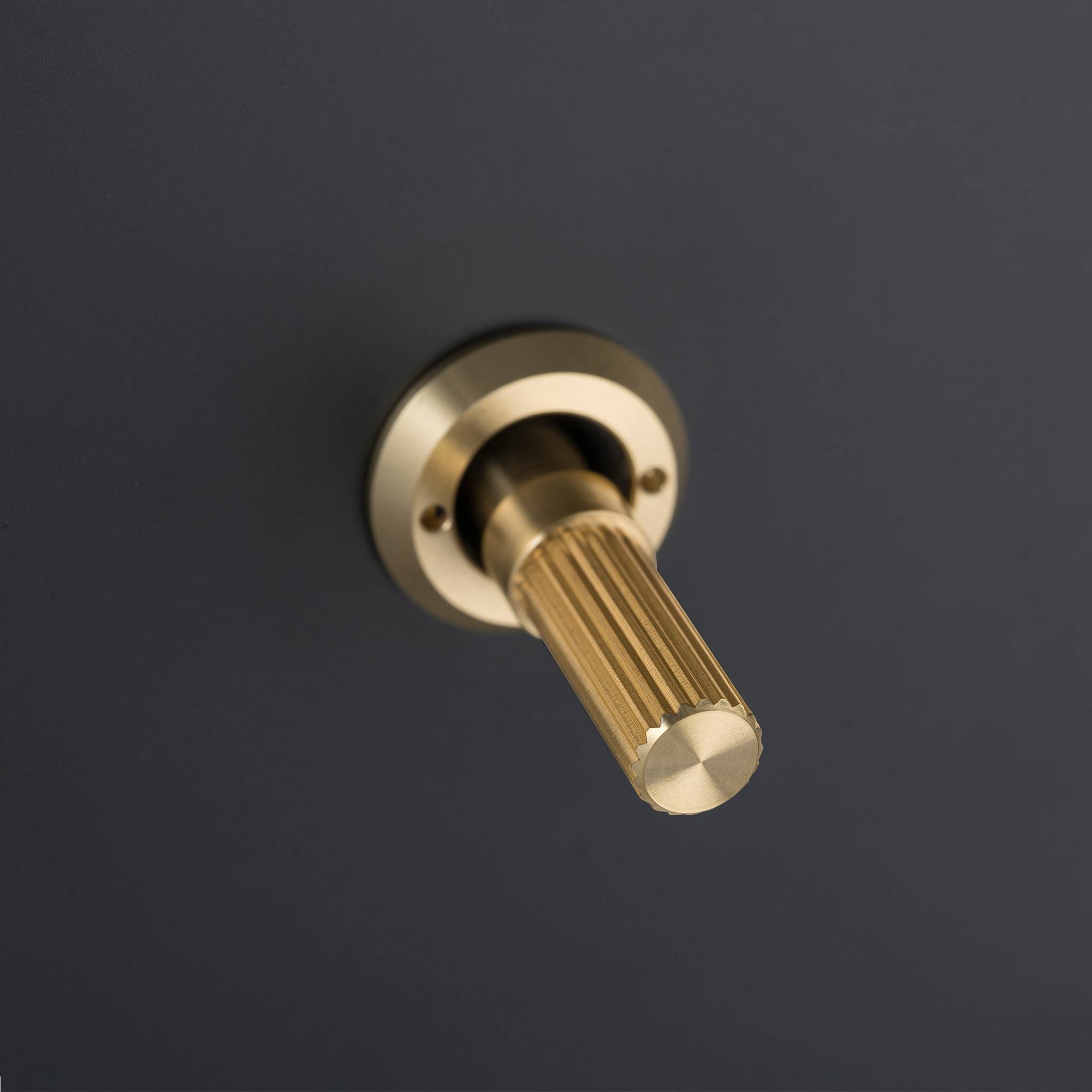 Buster + Punch 3G toggle switch, close up of the Brass linear knurl toggle arm detail on Black plate