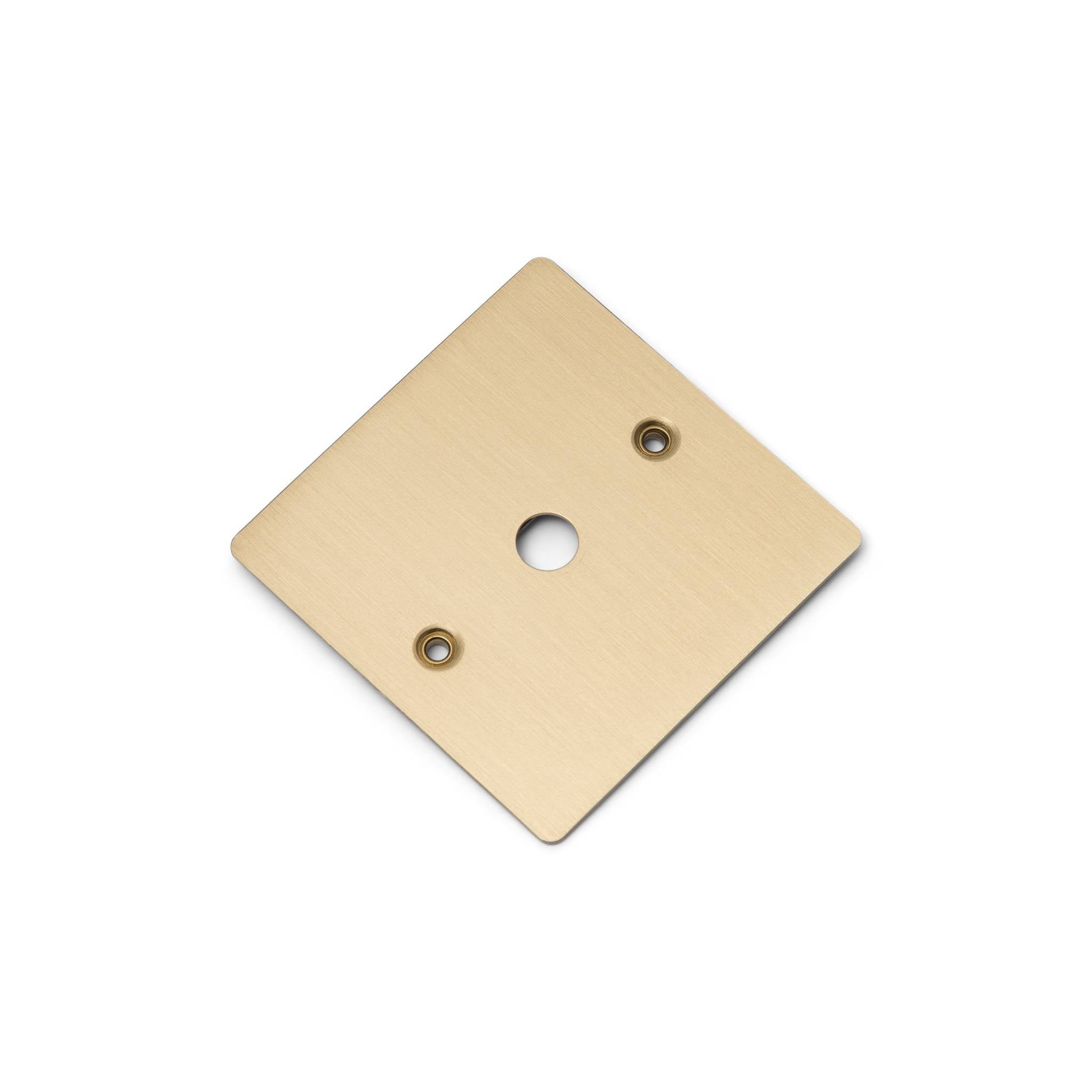 Buster + Punch 1G Wall Plate for 1 Dimmer or Toggle