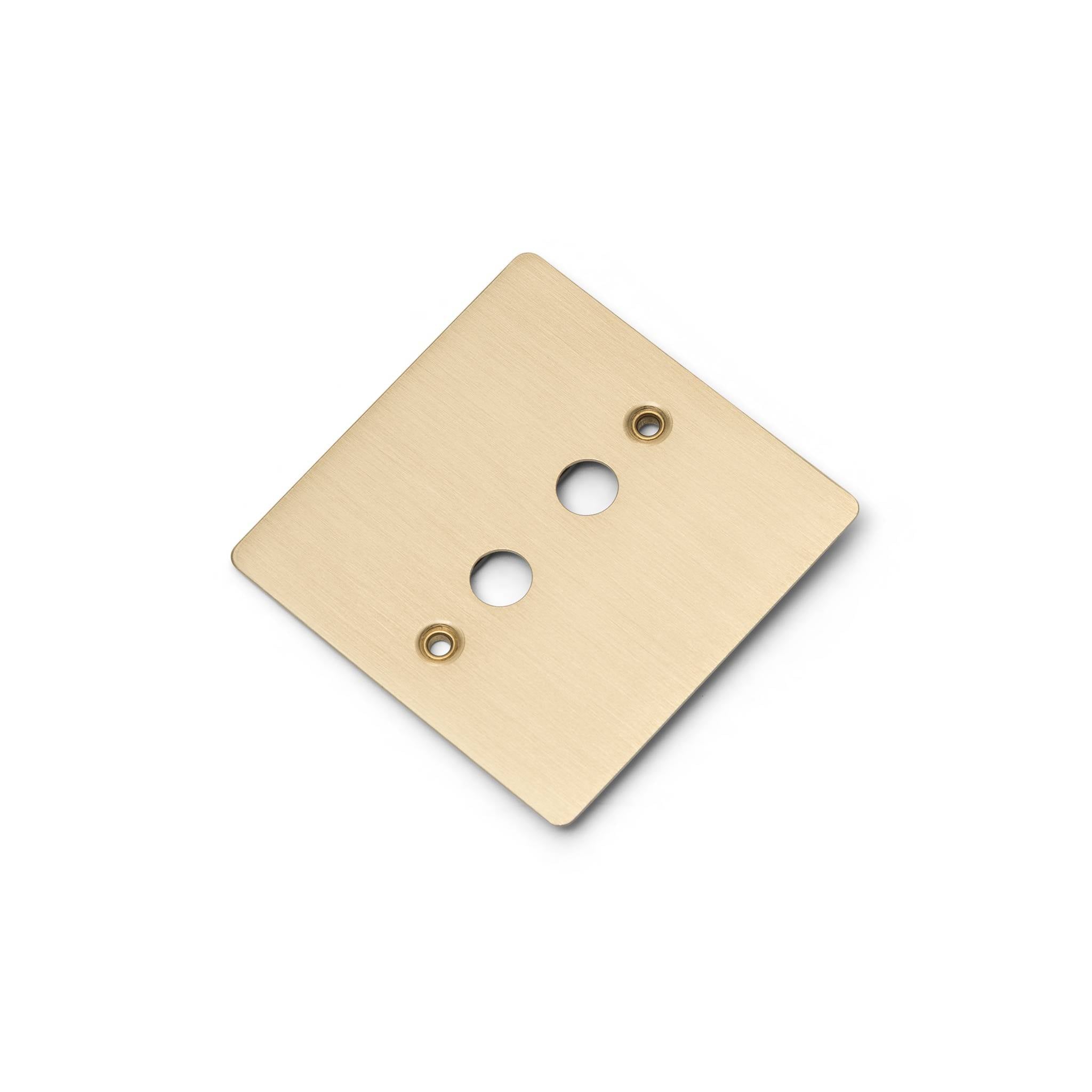 Buster + Punch 1G Wall Plate for 2 Toggles