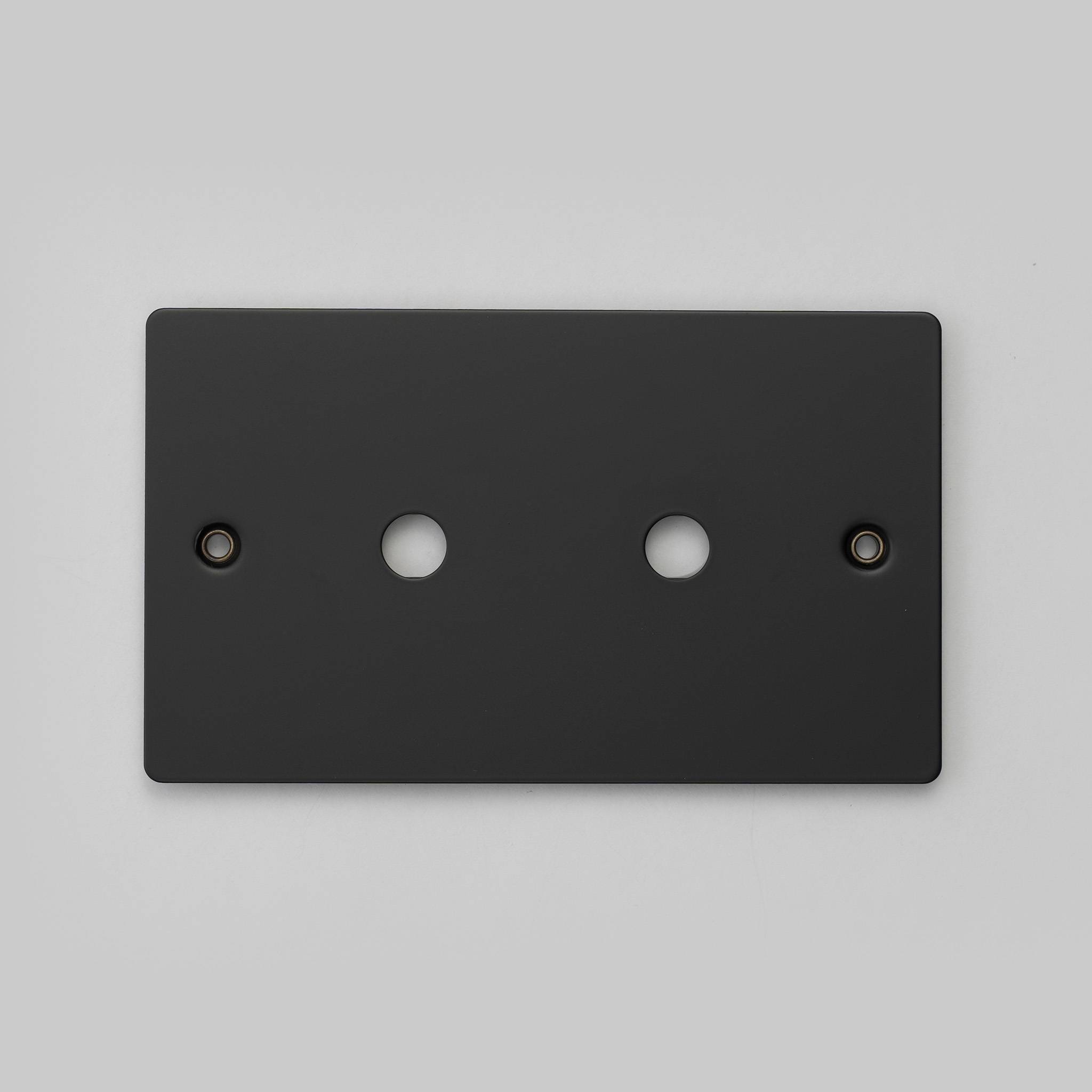 Buster + Punch 2G Wall Plate for 2 Dimmers or Toggles