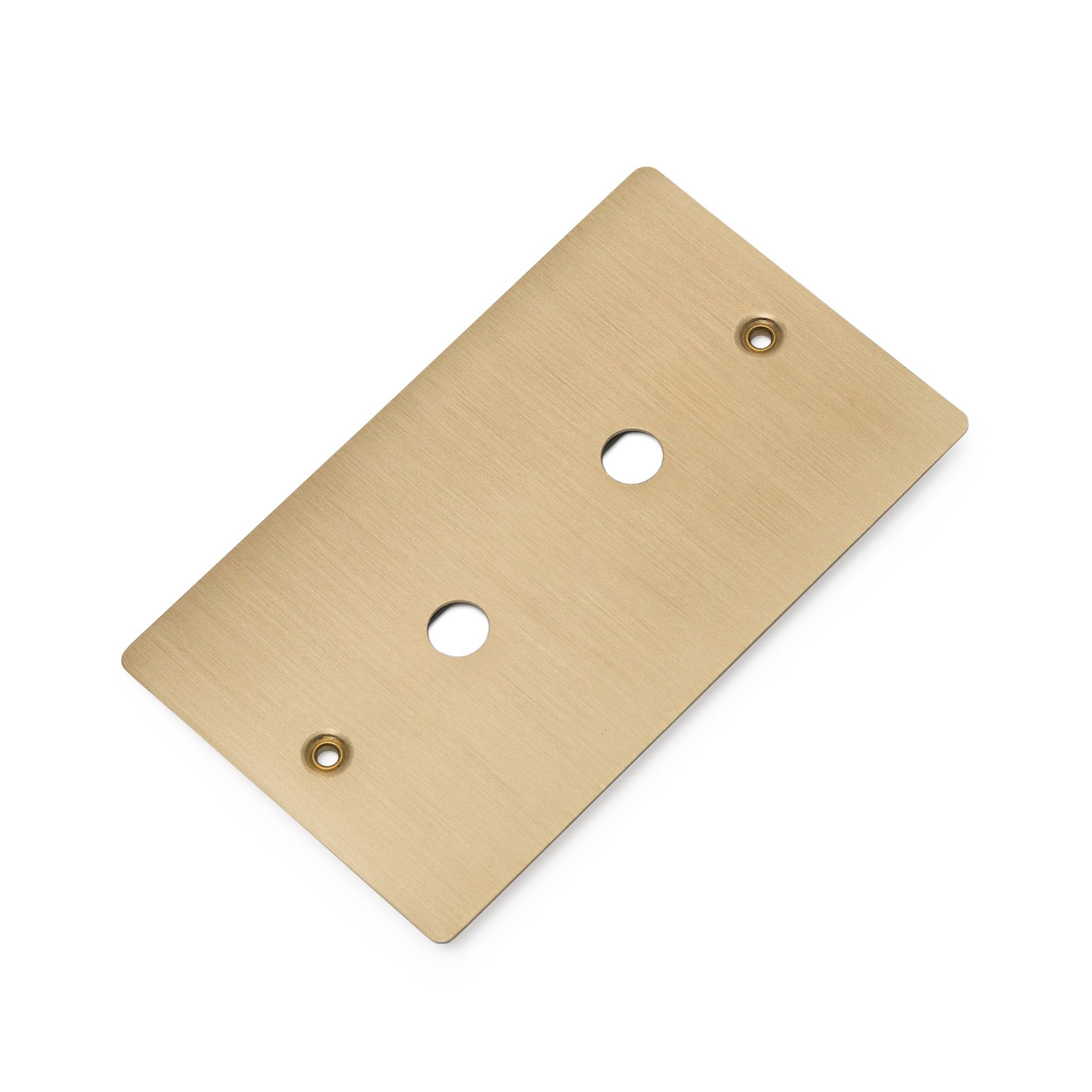 Buster + Punch 2G Wall Plate for 2 Dimmers or Toggles