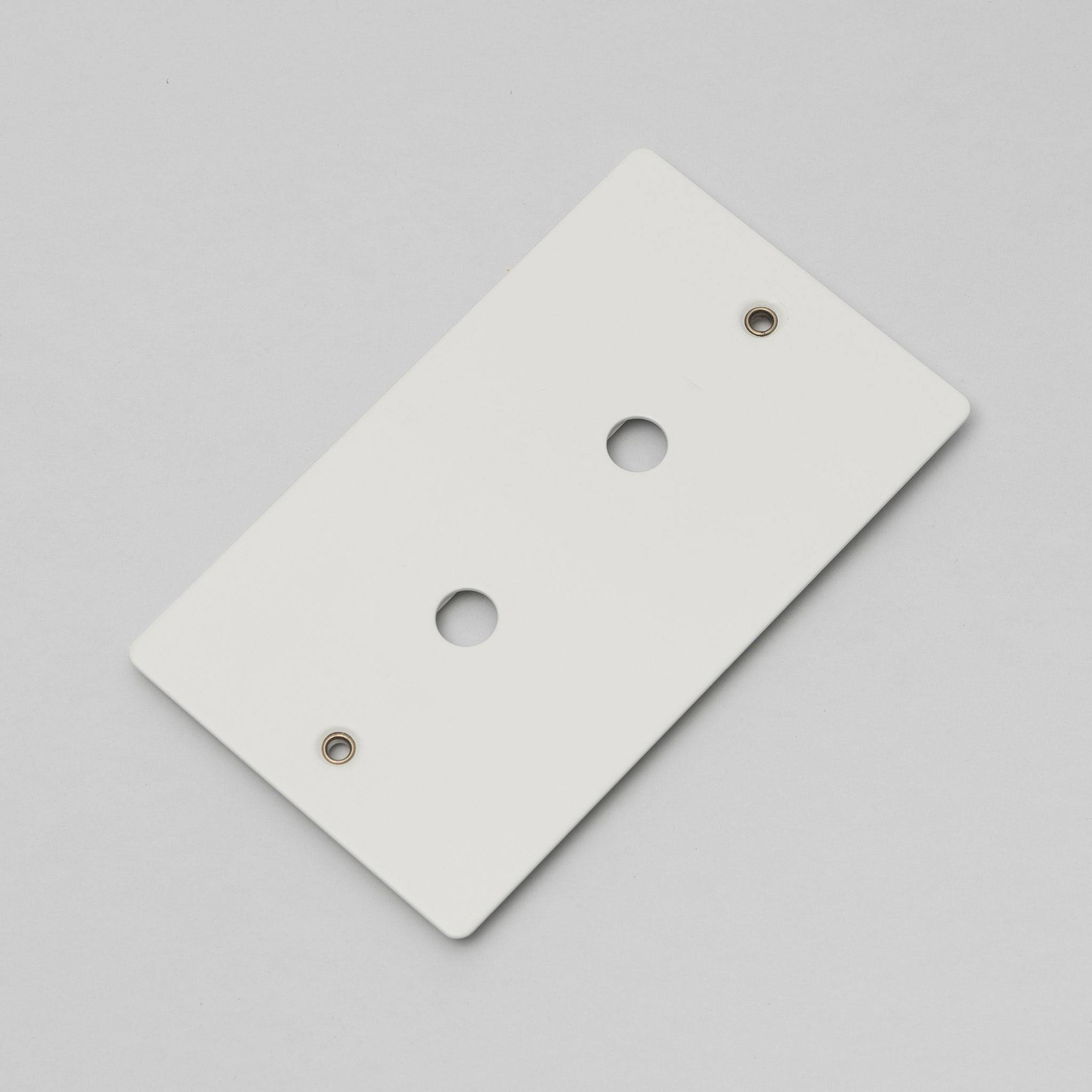 Buster + Punch 2G Wall Plate for 2 Dimmers or Toggles