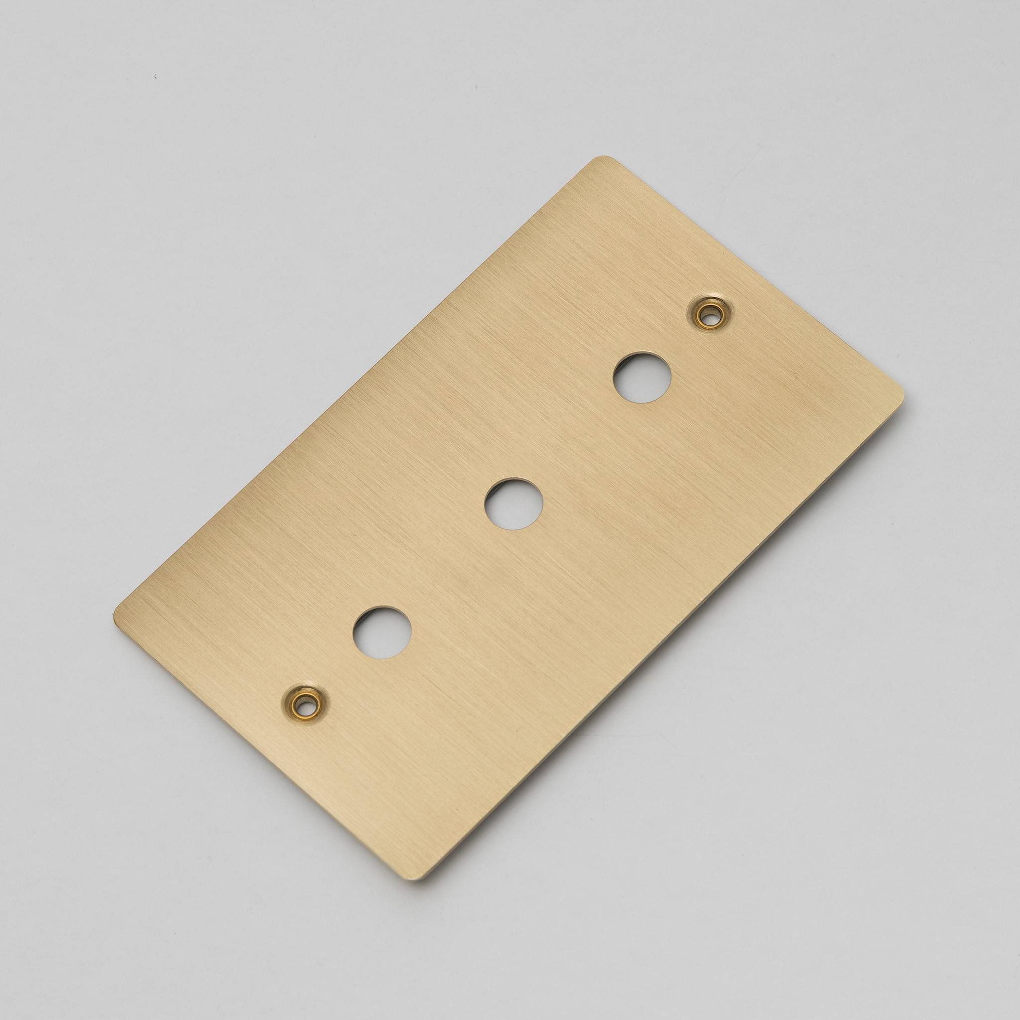 Buster + Punch 2G Wall Plate for 3 Dimmers or Toggles