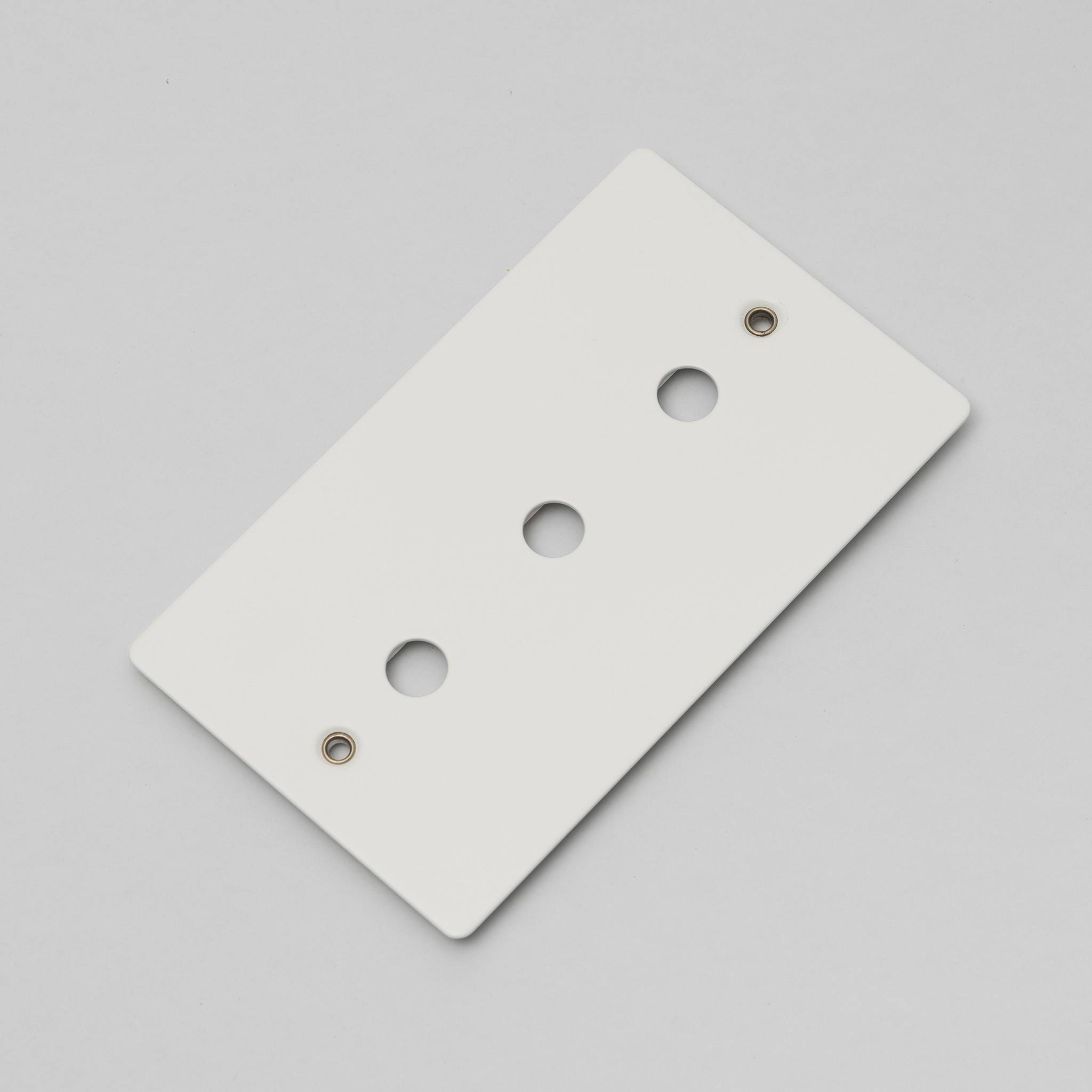 Buster + Punch 2G Wall Plate for 3 Dimmers or Toggles
