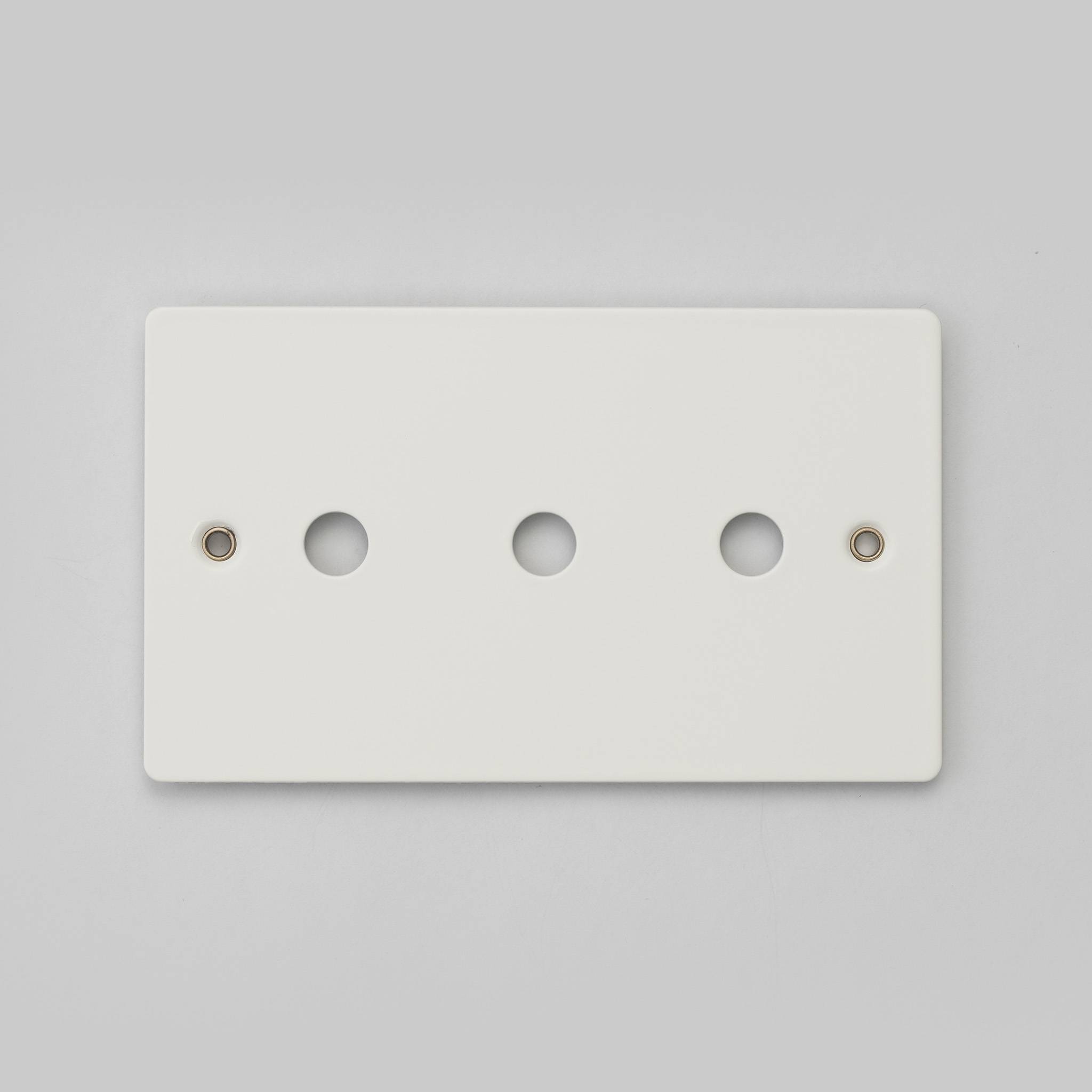 Buster + Punch 2G Wall Plate for 3 Dimmers or Toggles