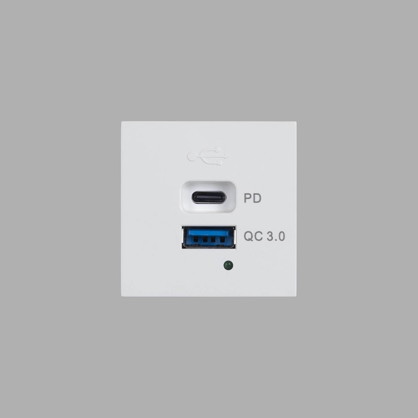 Buster + Punch 45mm USB-A + USB-C Quick Charge Module