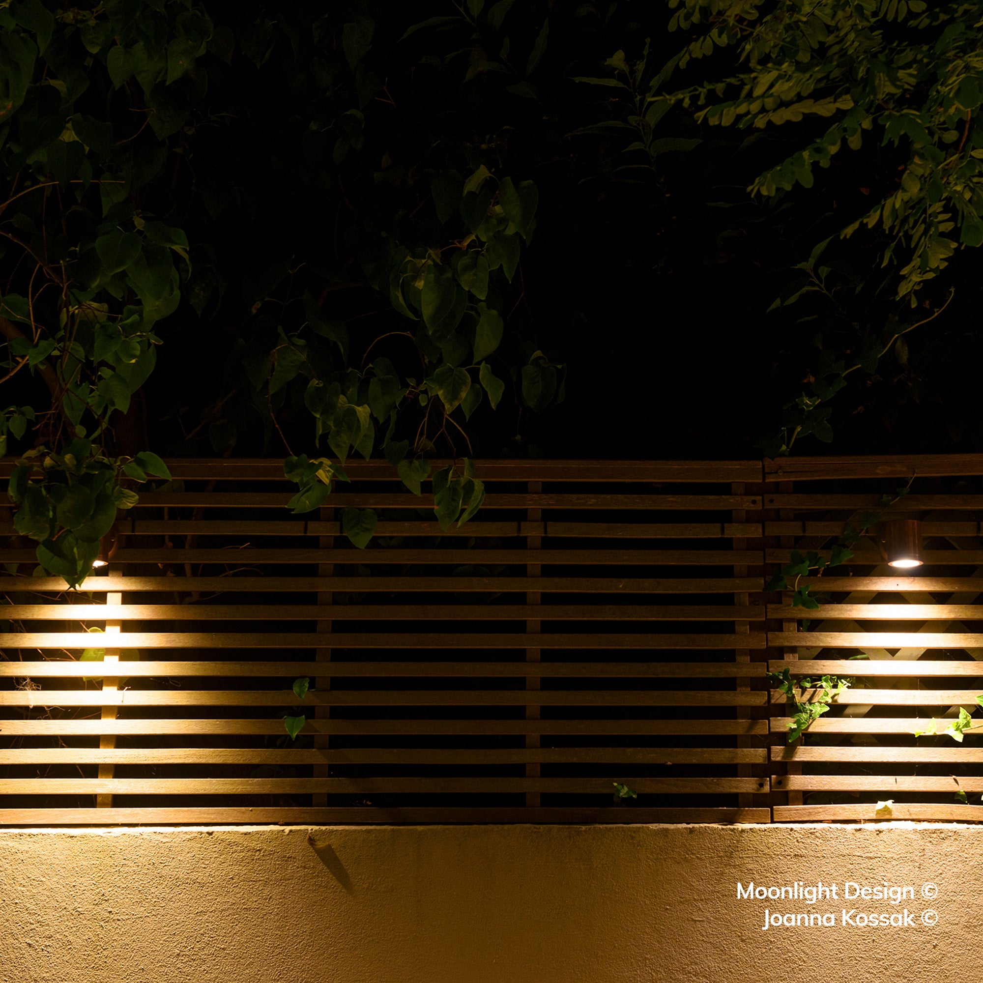 Moonlight Design lifestyle photograph of two Hunza wall down lights grazing light down a slatted timber garden screen, with ivy trailing overhead at night.