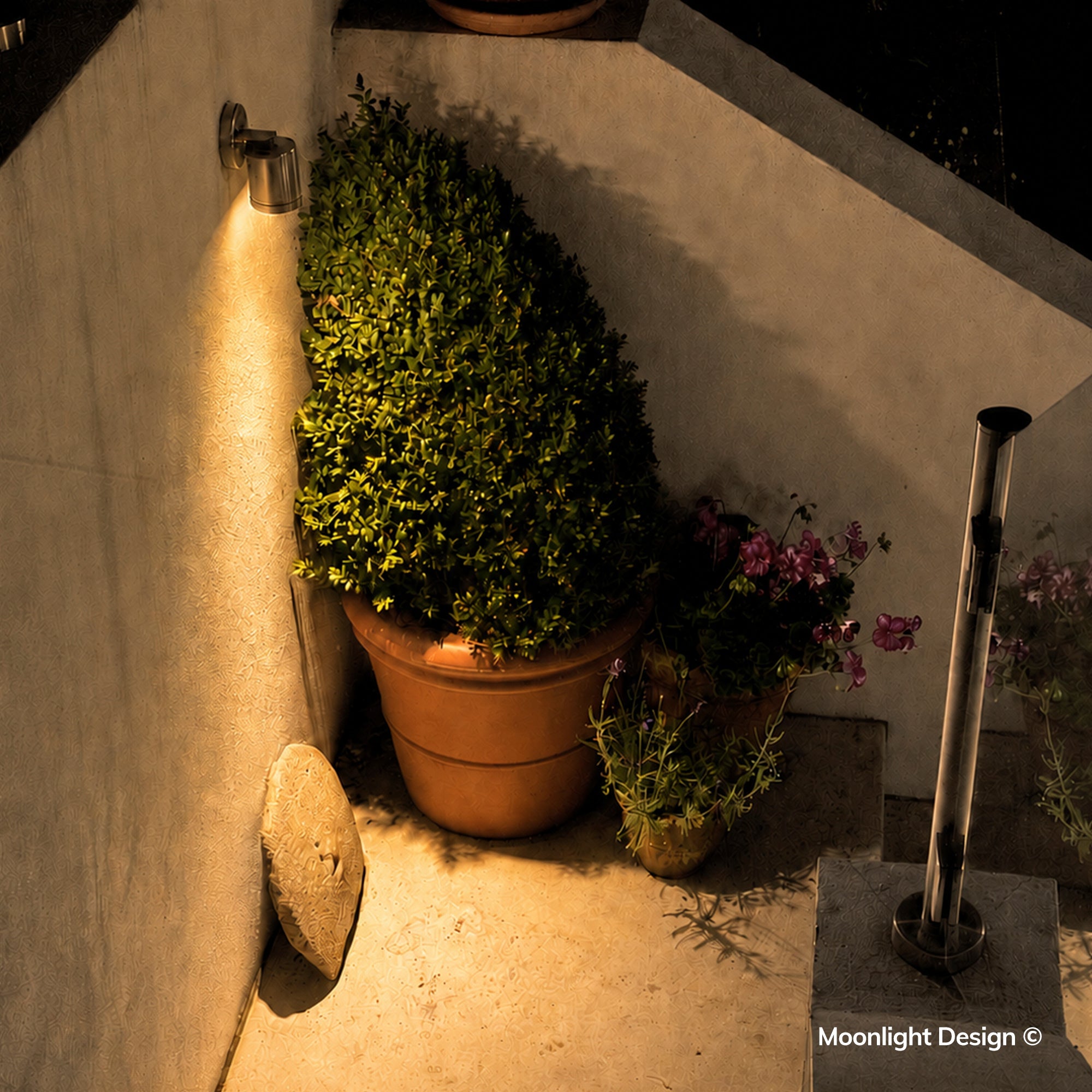 Moonlight Design lifestyle photograph of a stainless steel Hunza wall down light casting light over a potted topiary and flowers on a terrace at night.